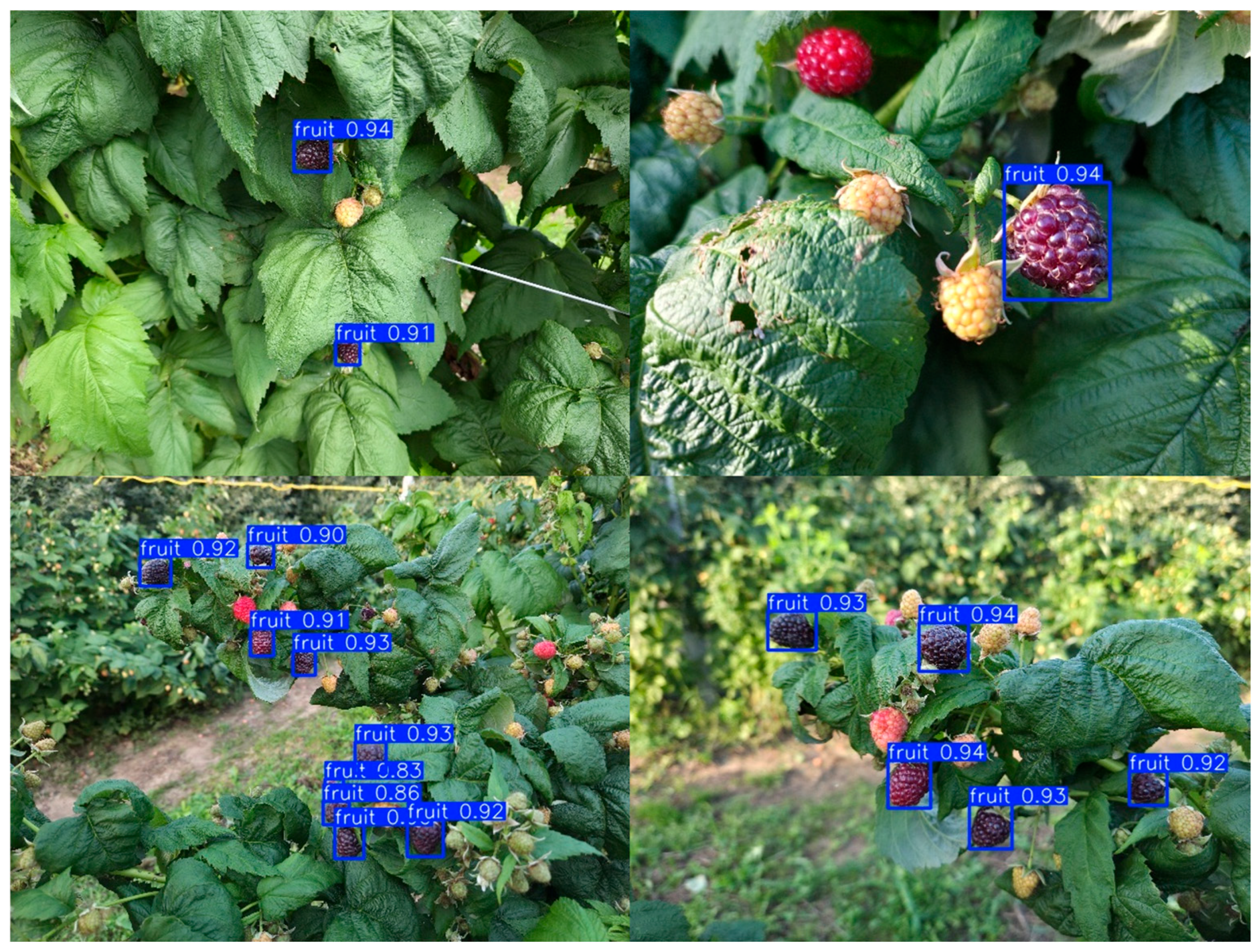 Agriculture 15 02530 g006