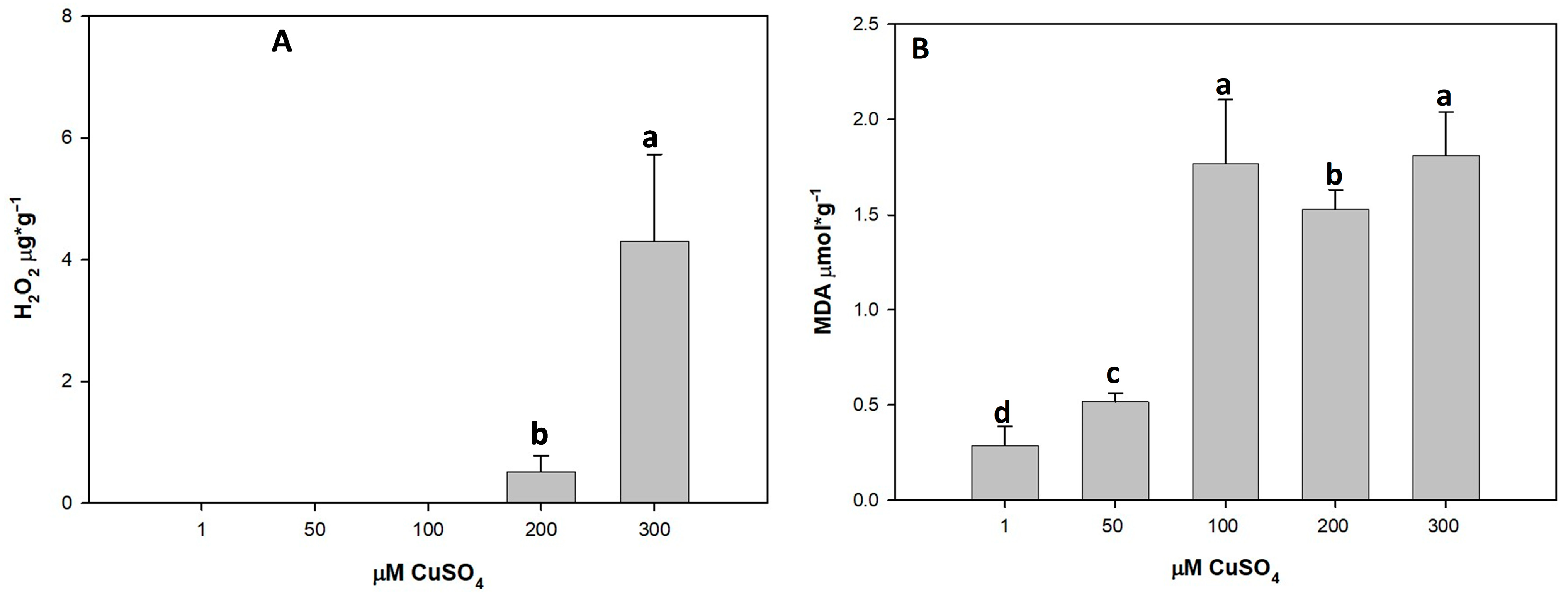 Agriculture 15 02544 g004 Agriculture 15 02544 g004