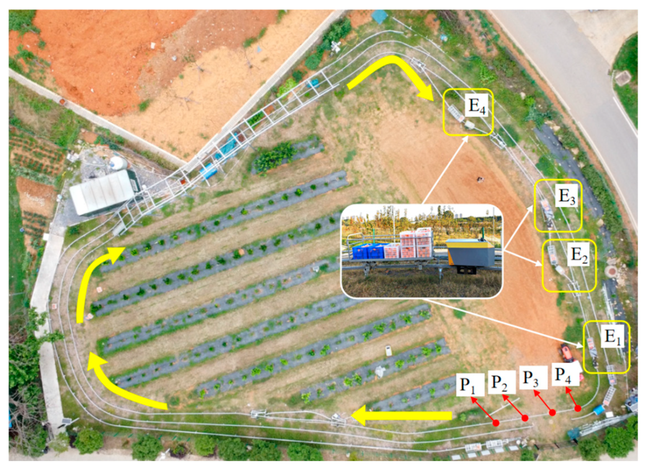 Agriculture 15 02549 g015