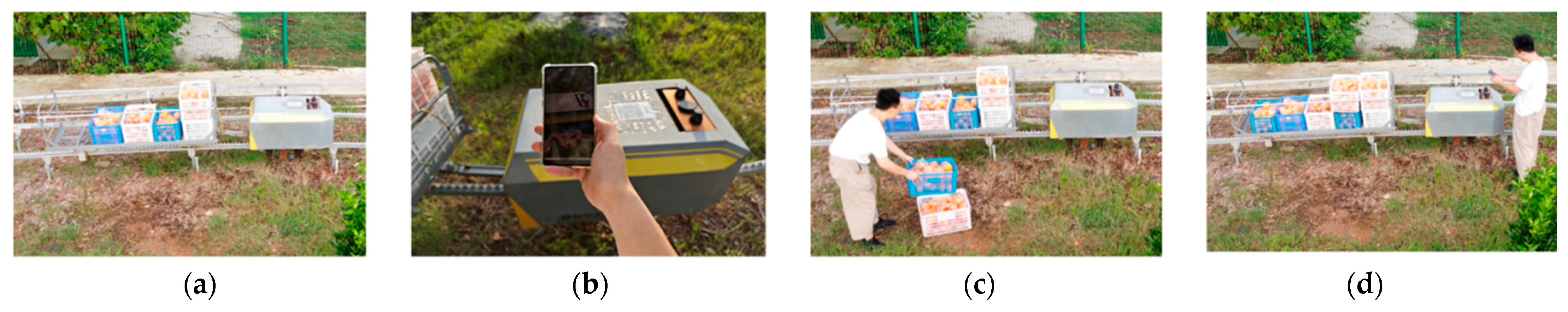 Agriculture 15 02549 g0a5