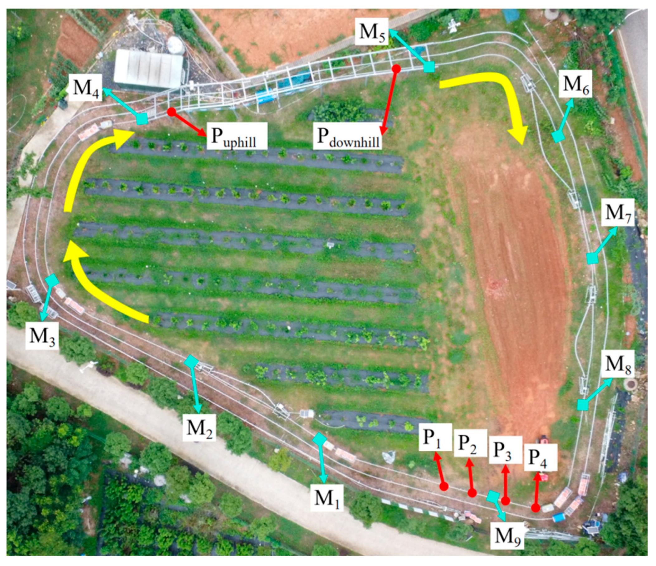 Agriculture 15 02549 g0a6