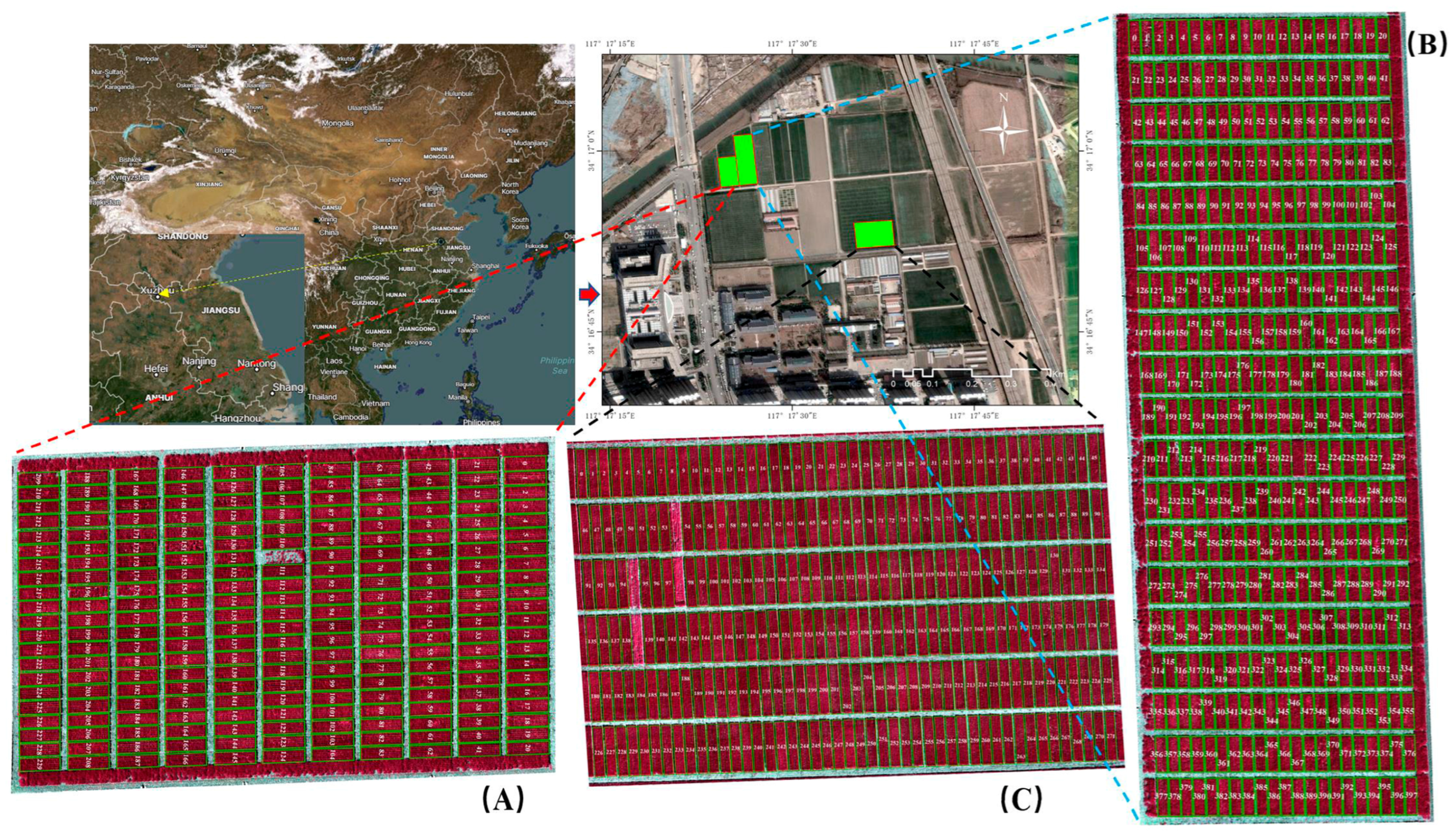 Agriculture 15 02554 g001 Agriculture 15 02554 g001