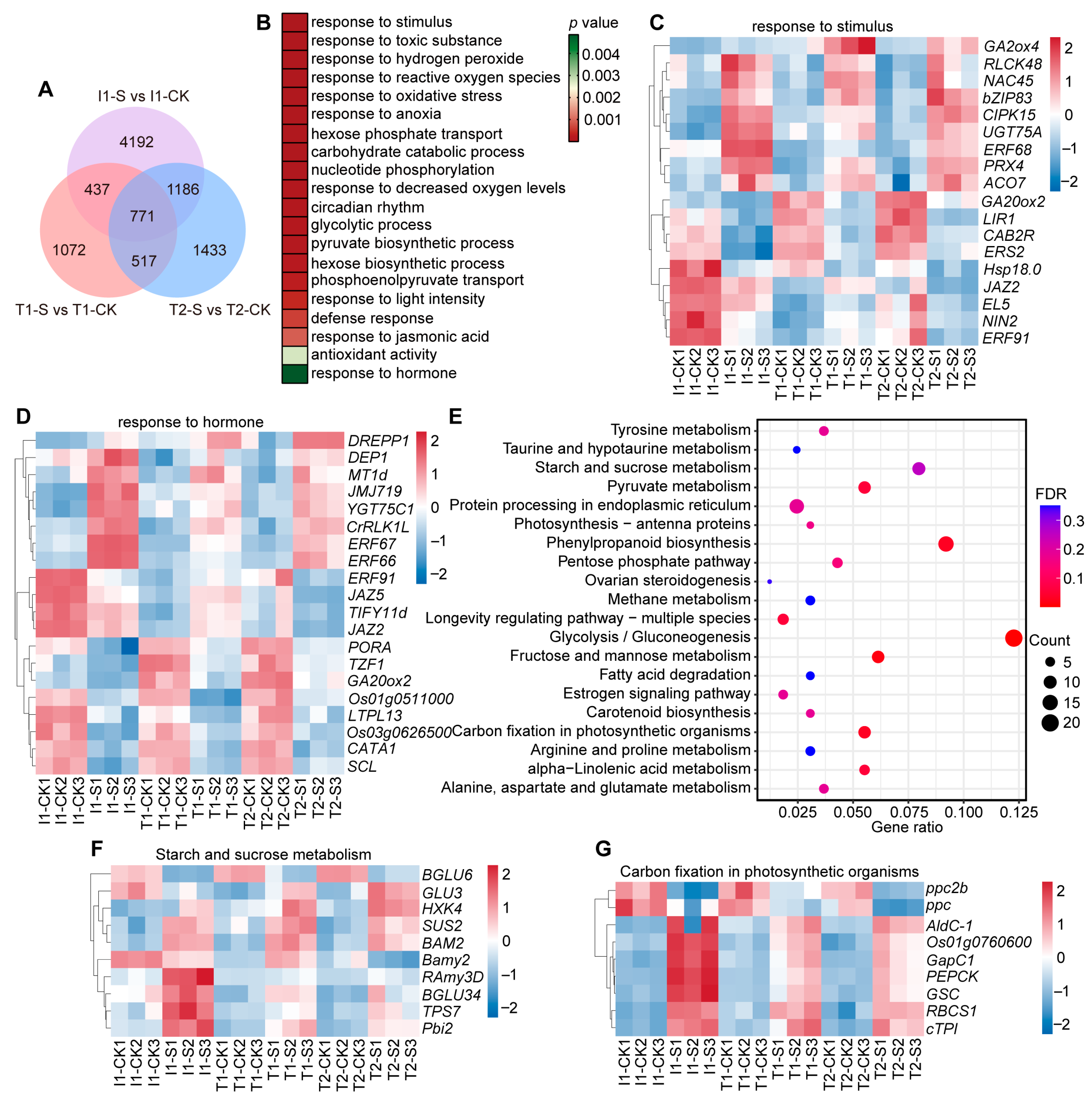 Agriculture 15 02556 g001