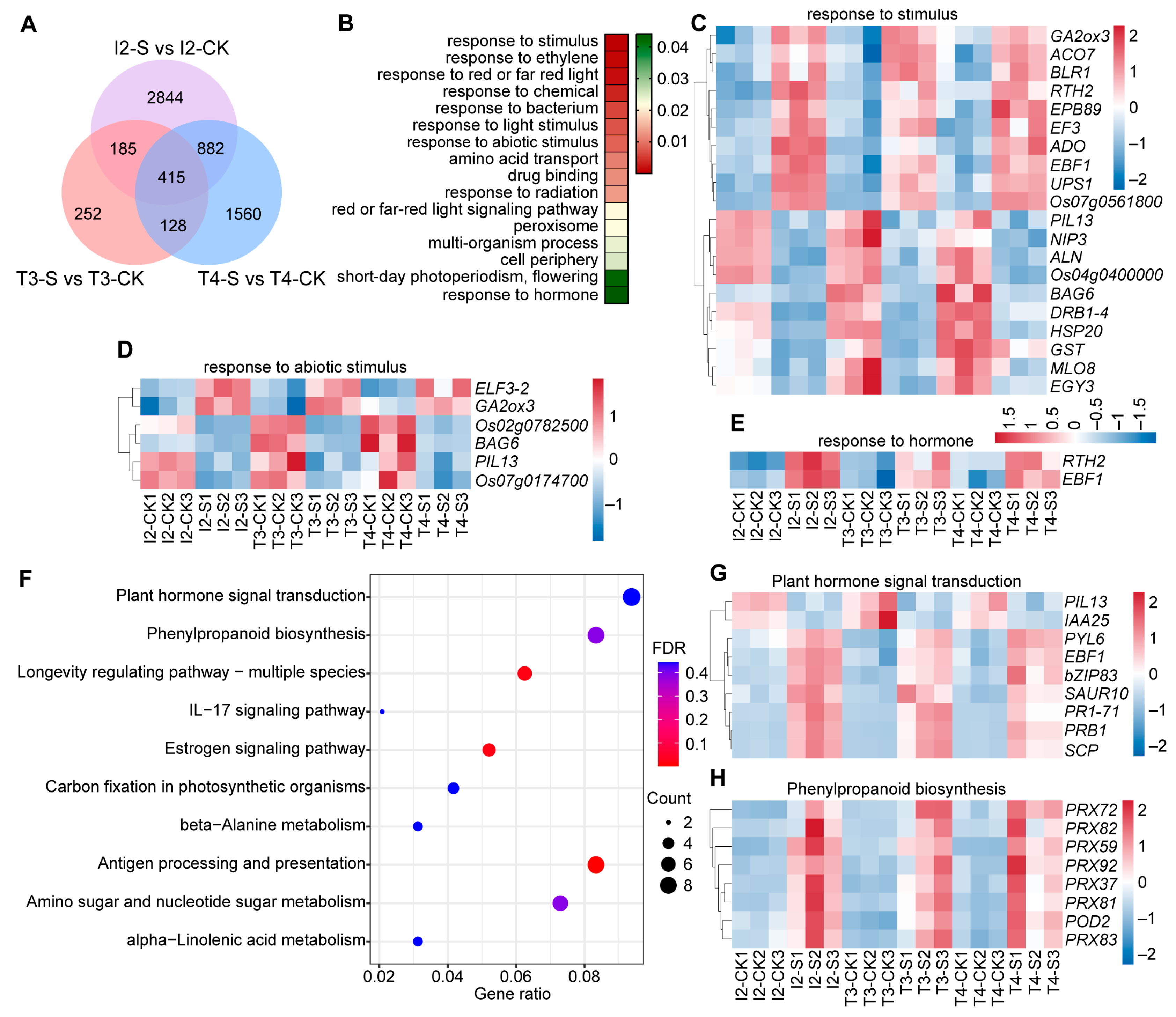 Agriculture 15 02556 g002