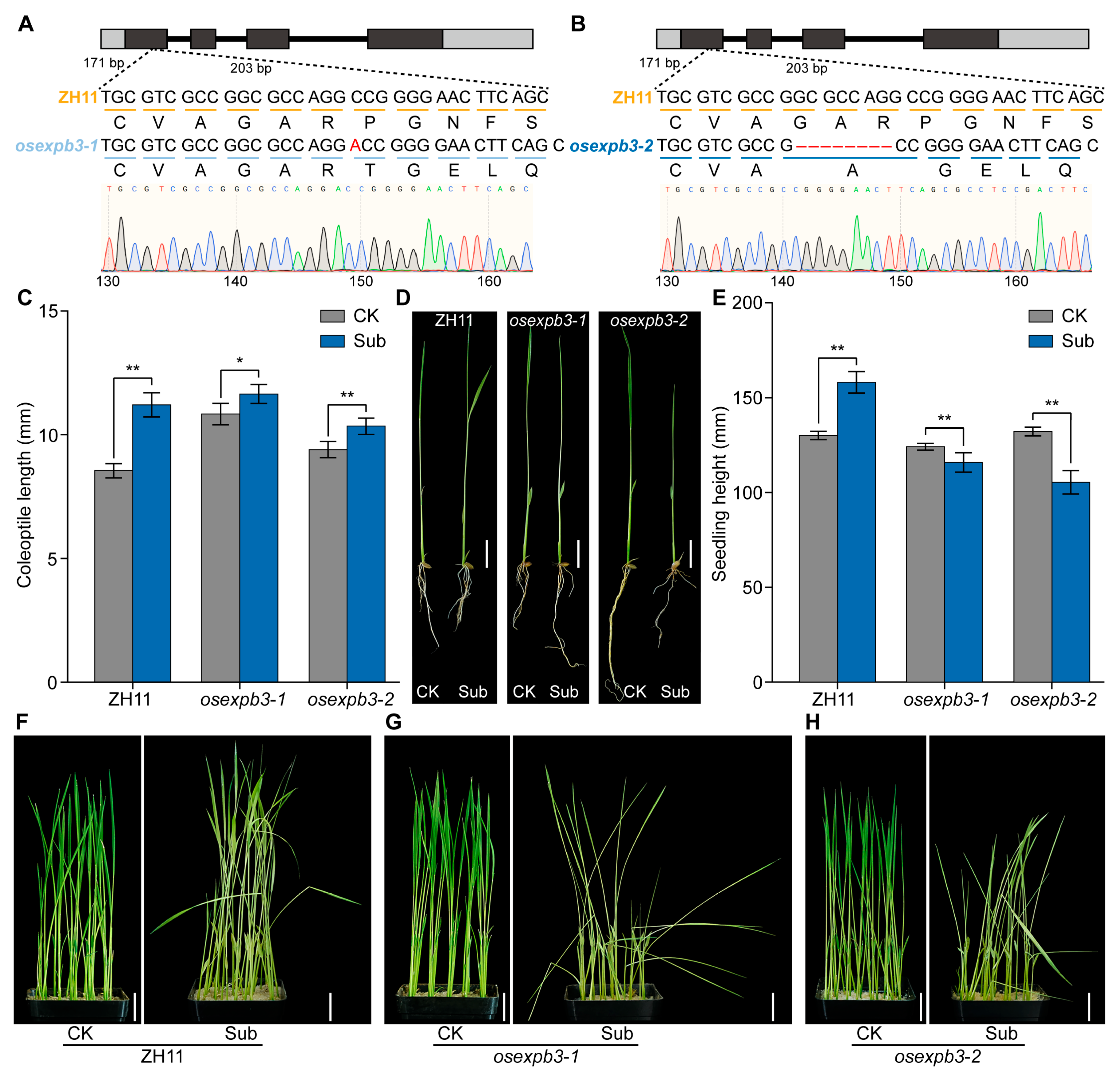 Agriculture 15 02556 g005
