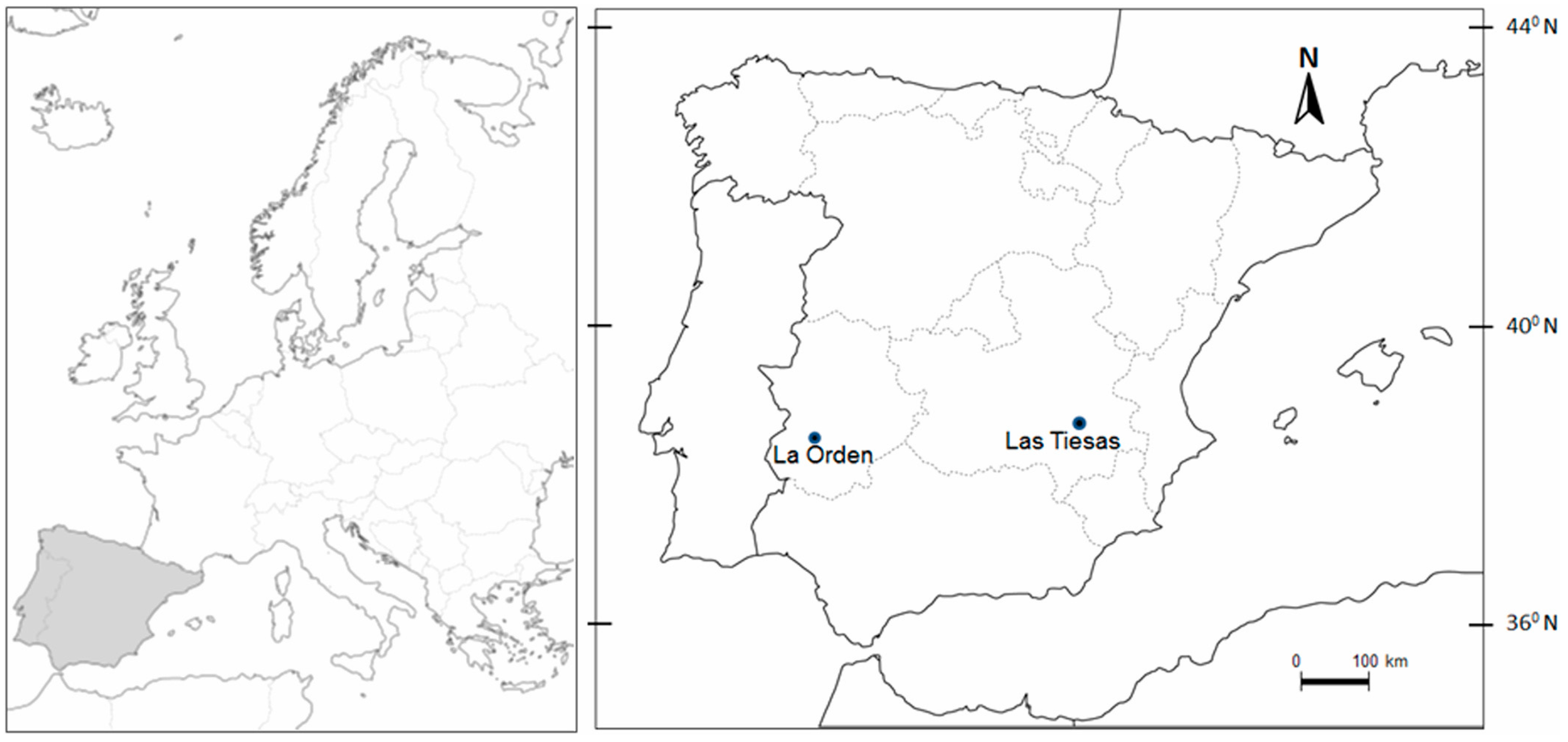 Agriculture 15 02557 g001