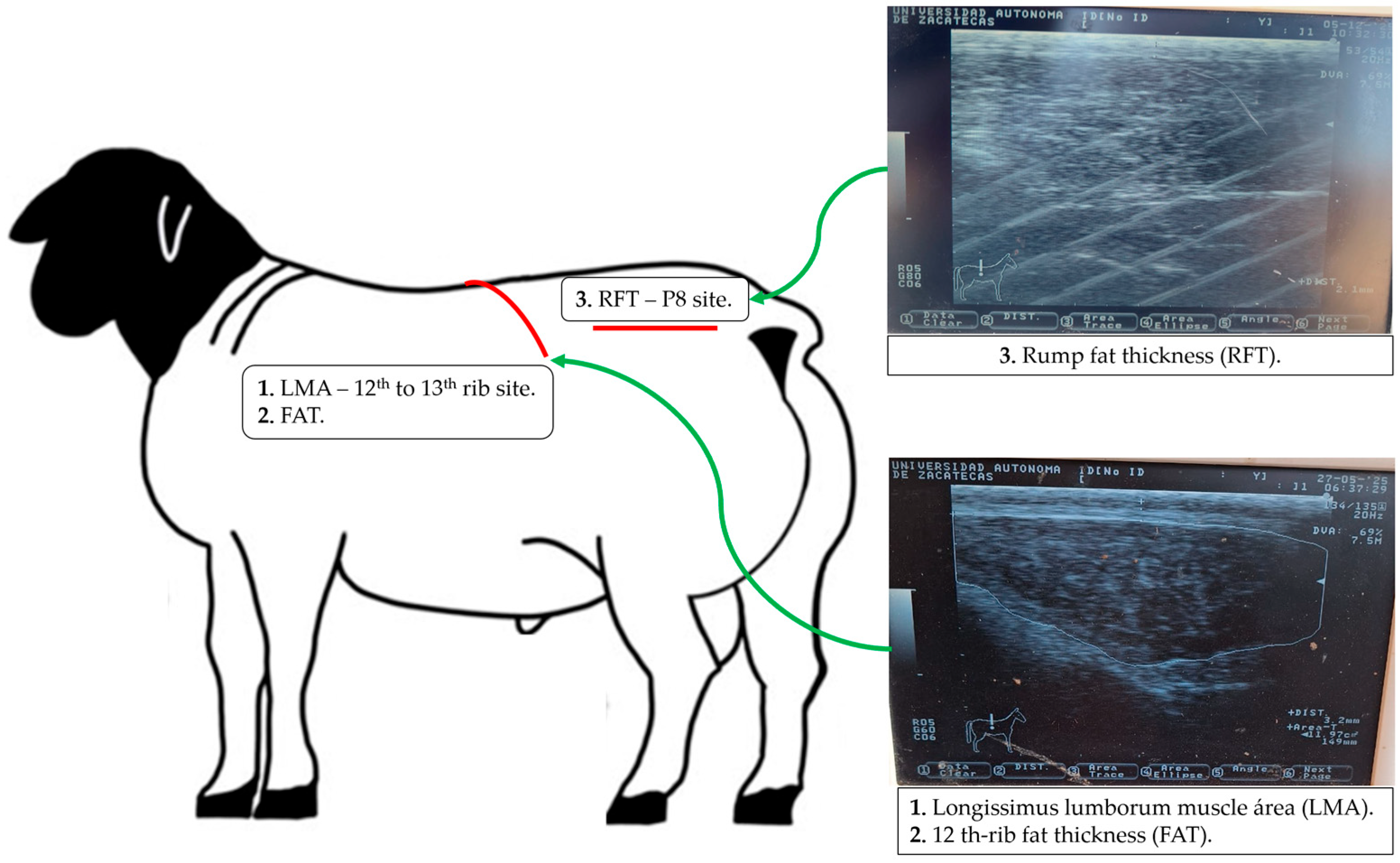 Agriculture 15 02559 g002 Agriculture 15 02559 g002