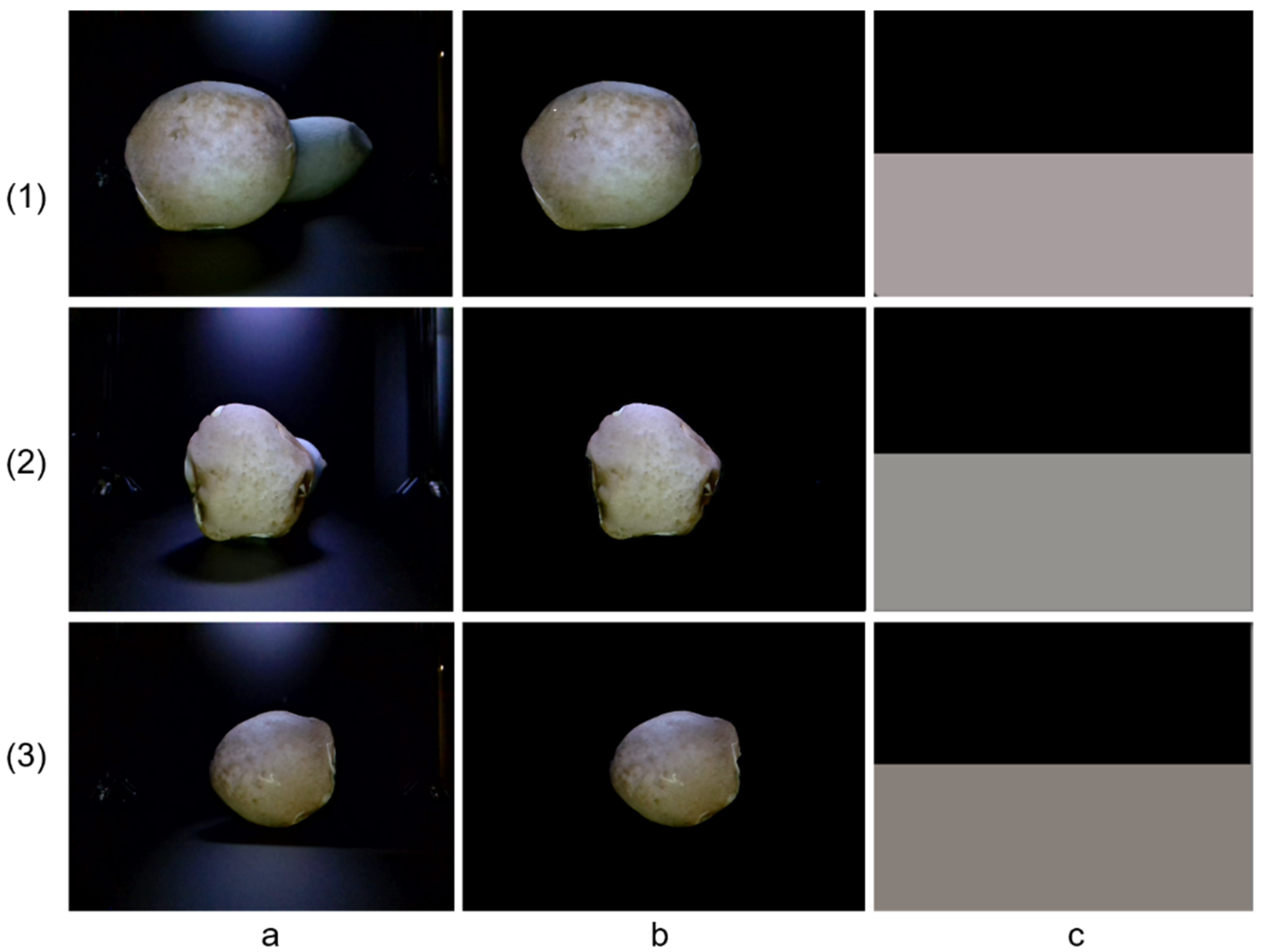 Agriculture 15 02566 g011