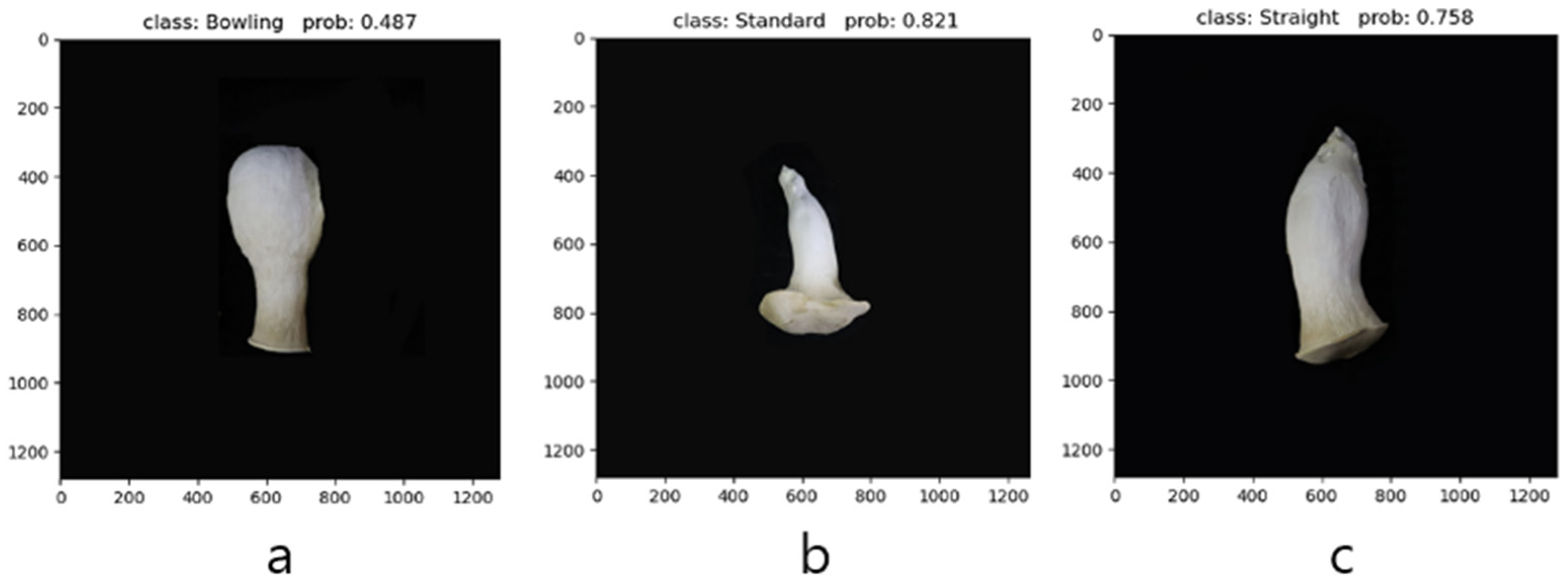 Agriculture 15 02566 g013