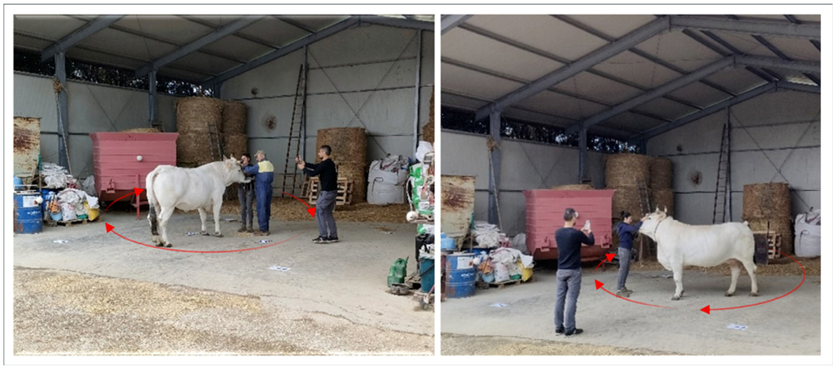 Agriculture 15 02567 g005 Agriculture 15 02567 g005