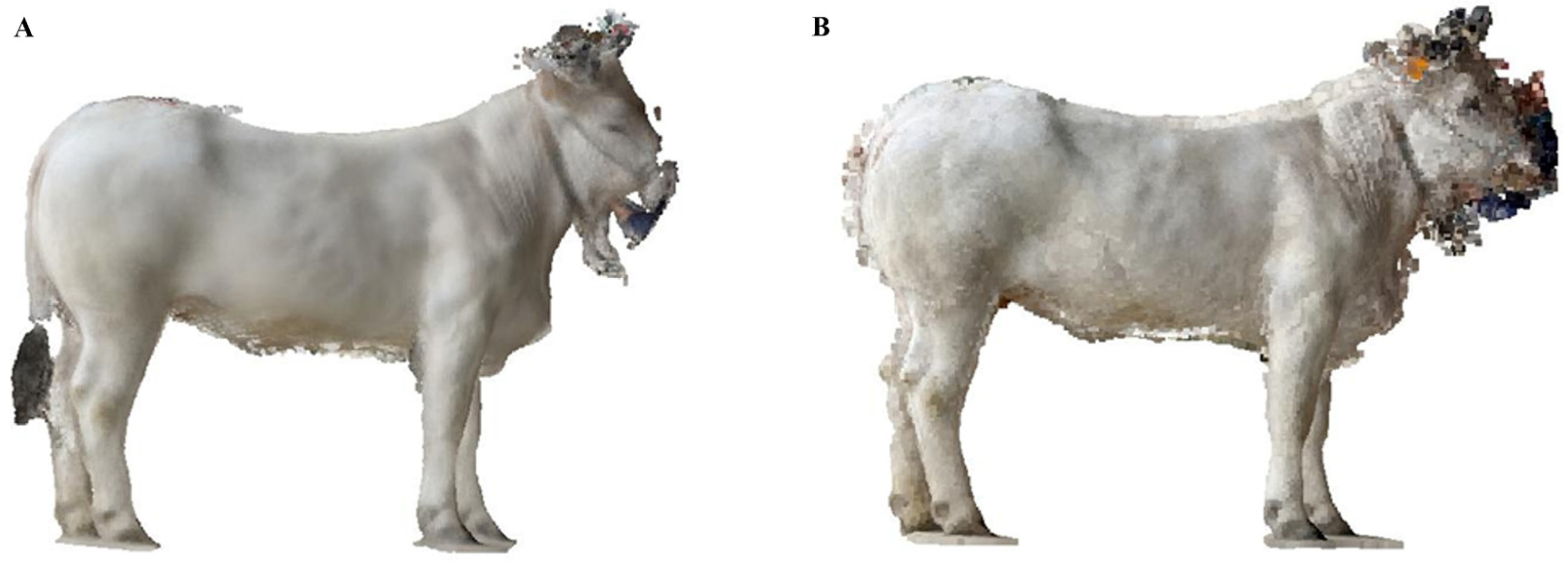 Agriculture 15 02567 g006 Agriculture 15 02567 g006