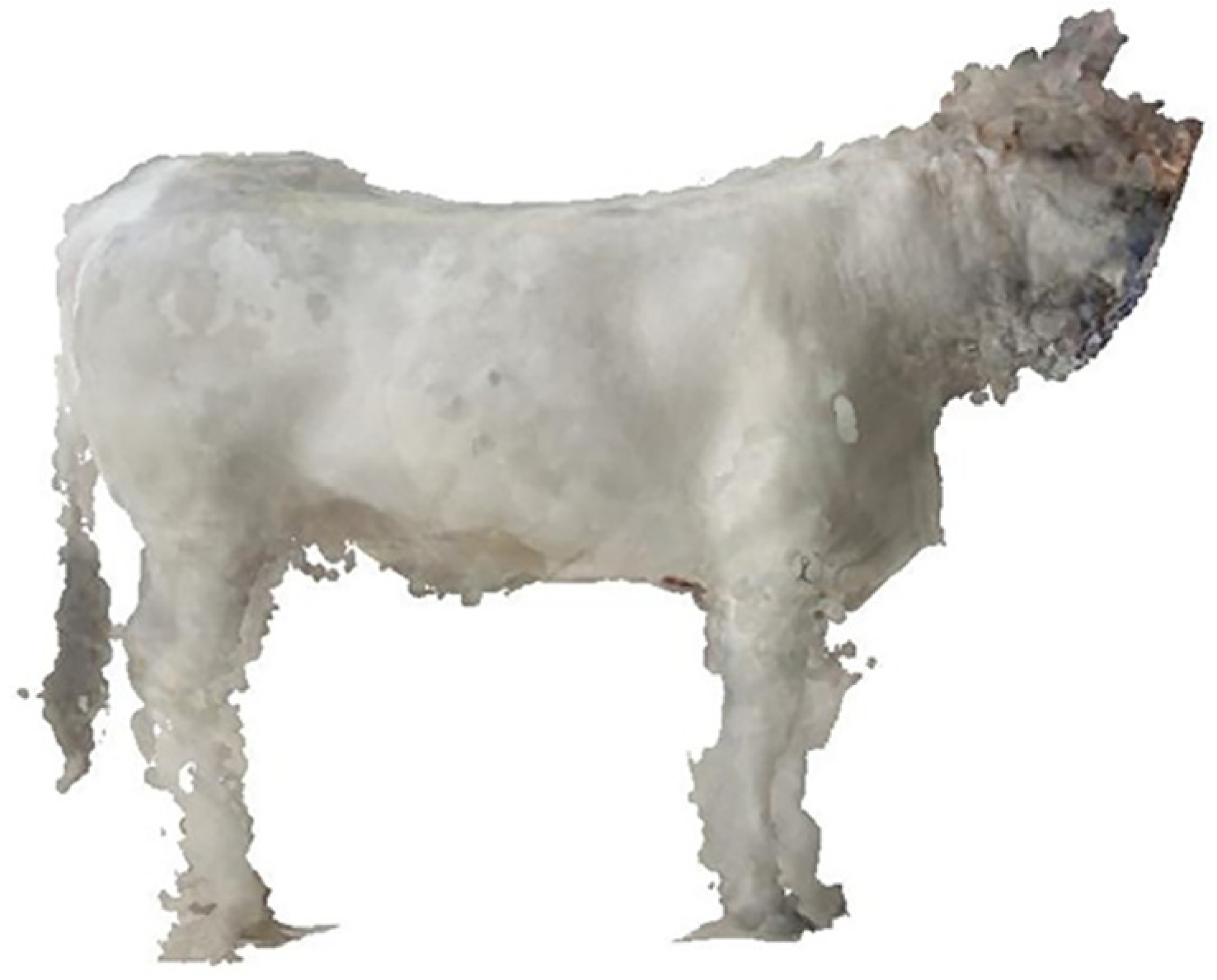 Agriculture 15 02567 g008 Agriculture 15 02567 g008