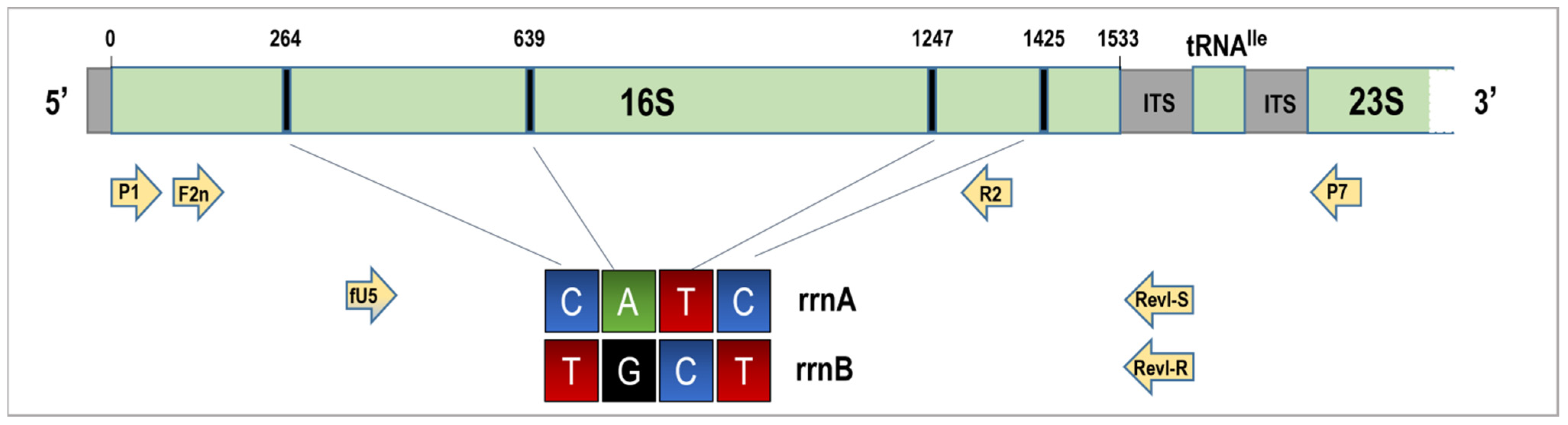 Agriculture 15 02571 g003 Agriculture 15 02571 g003