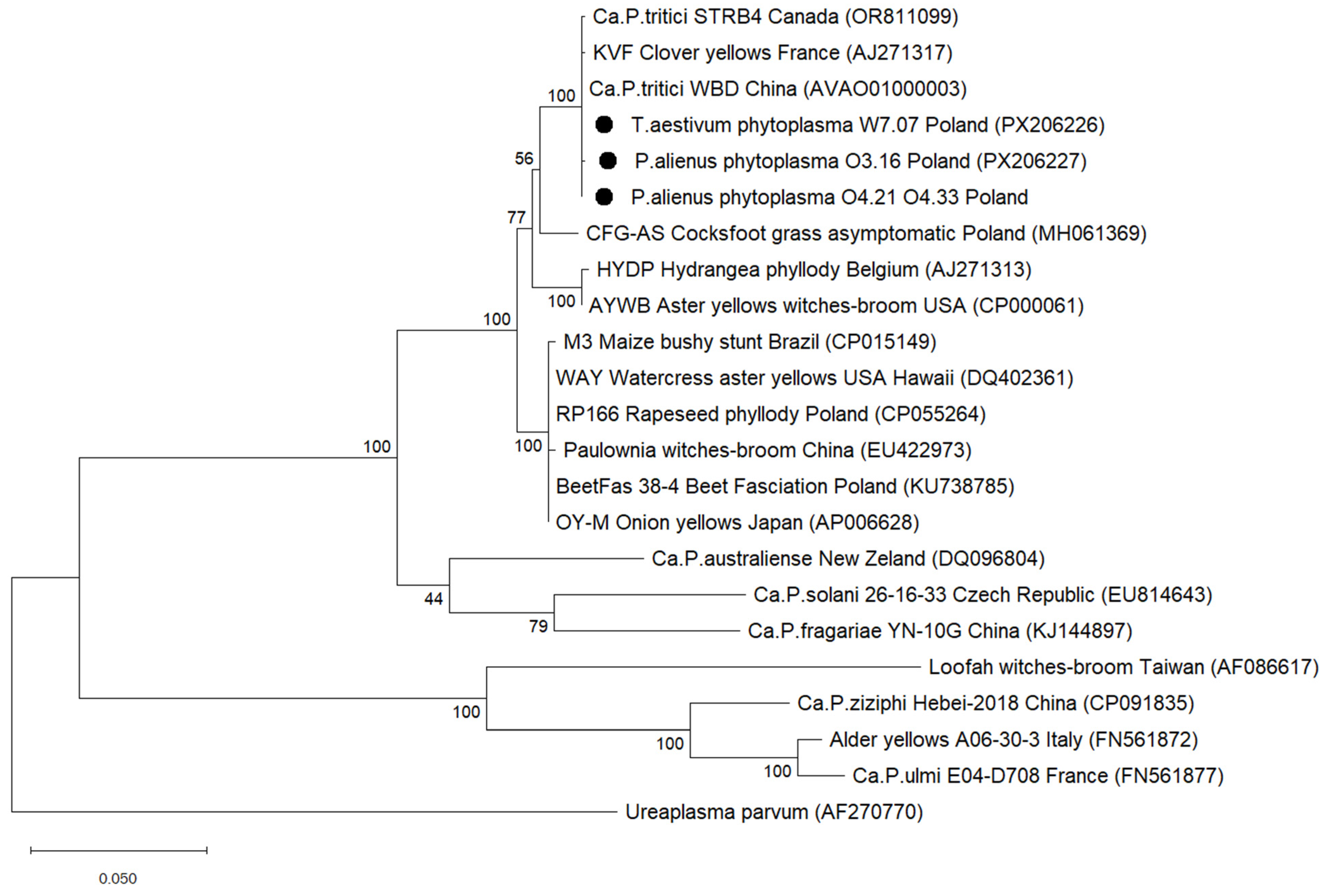 Agriculture 15 02571 g007 Agriculture 15 02571 g007