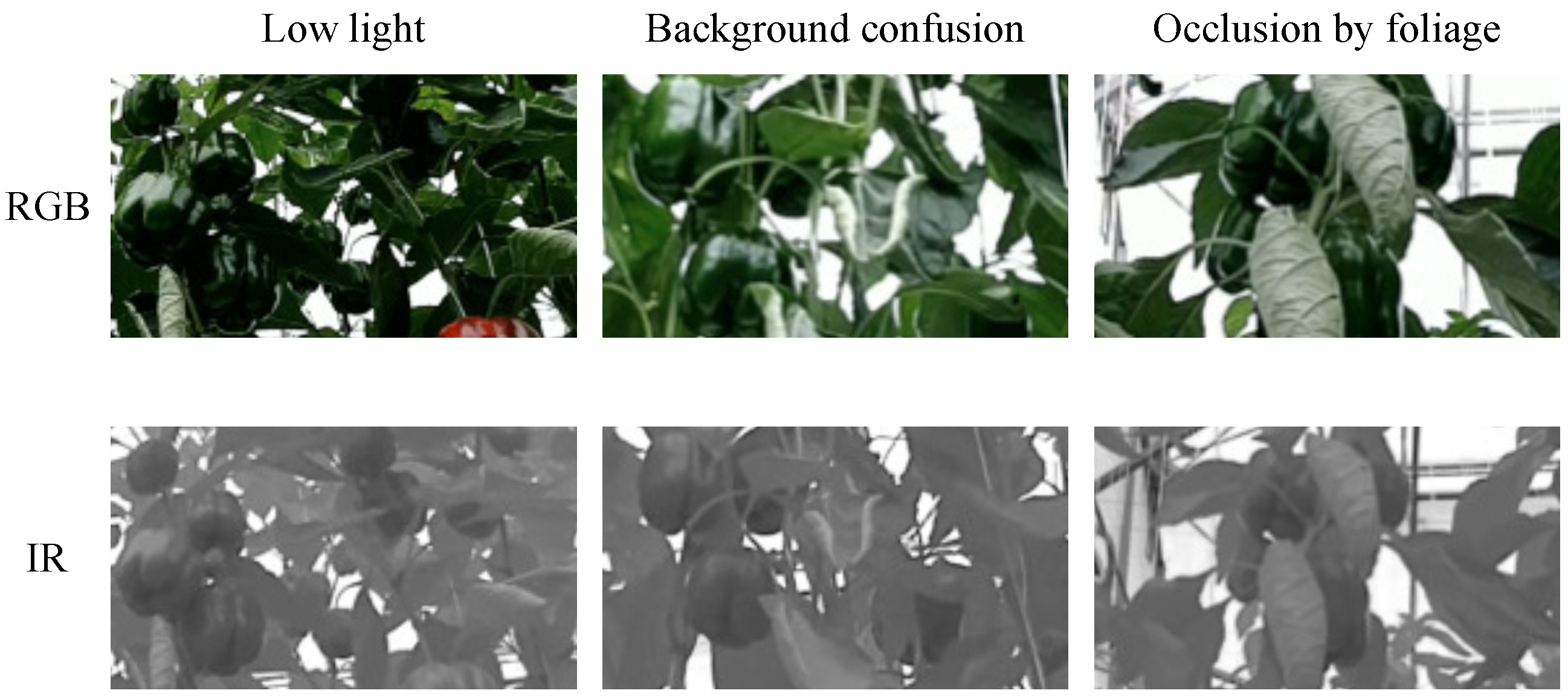 Agriculture 15 02574 g001