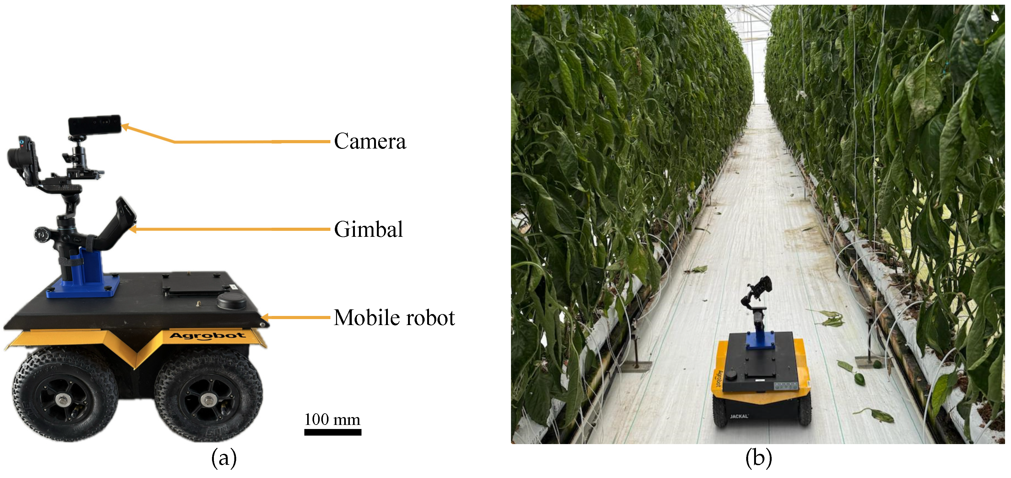 Agriculture 15 02574 g004