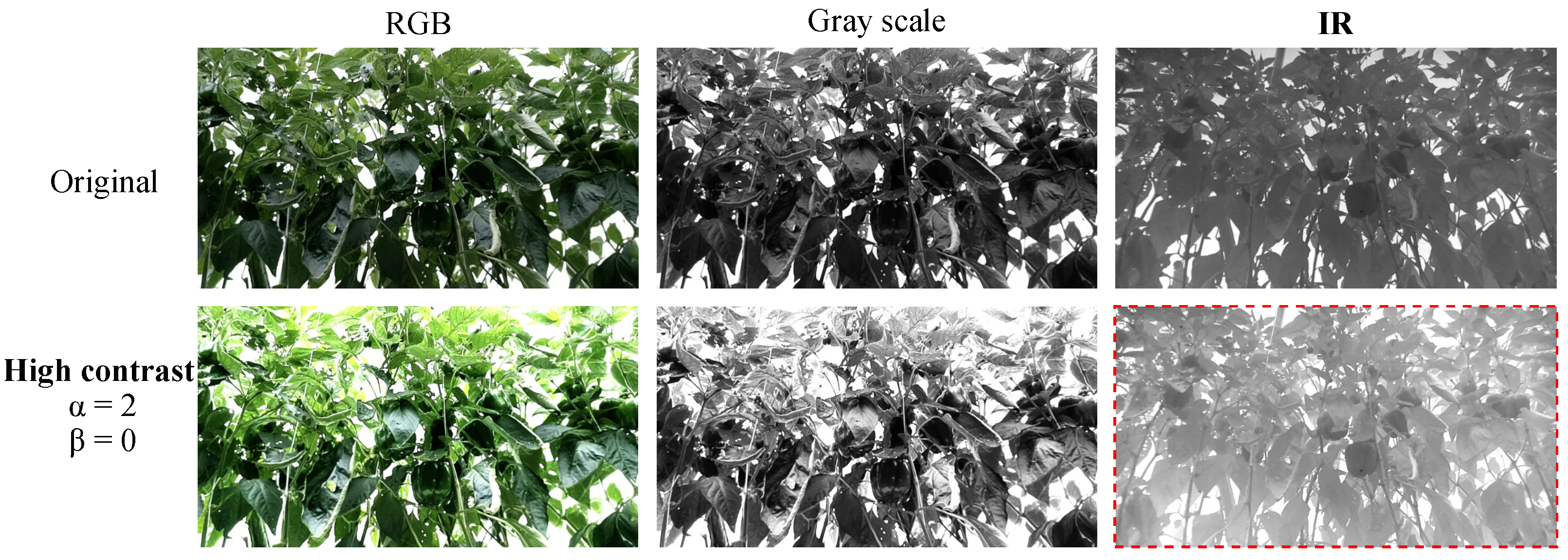 Agriculture 15 02574 g005