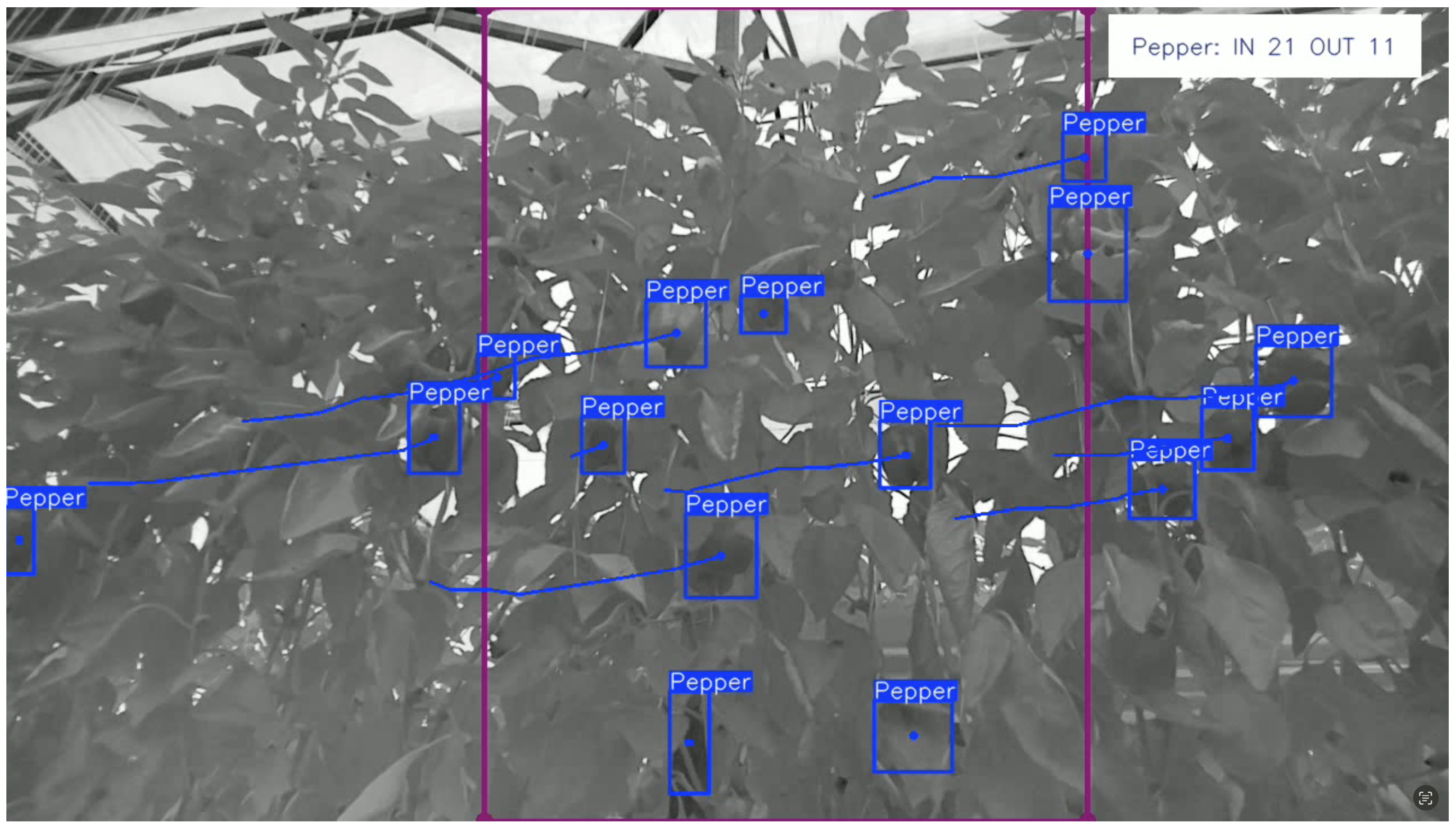 Agriculture 15 02574 g006