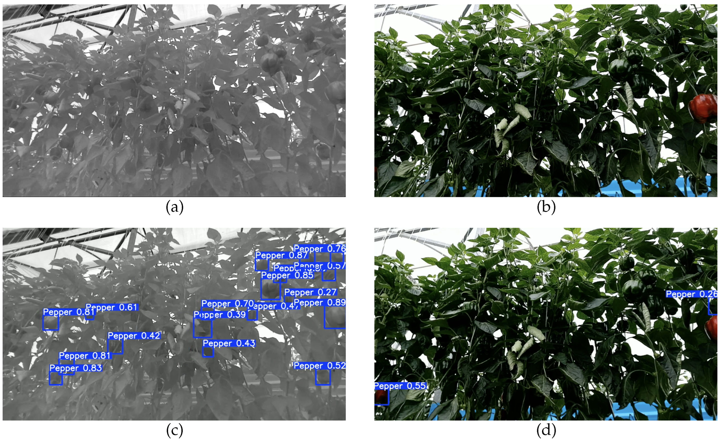 Agriculture 15 02574 g009
