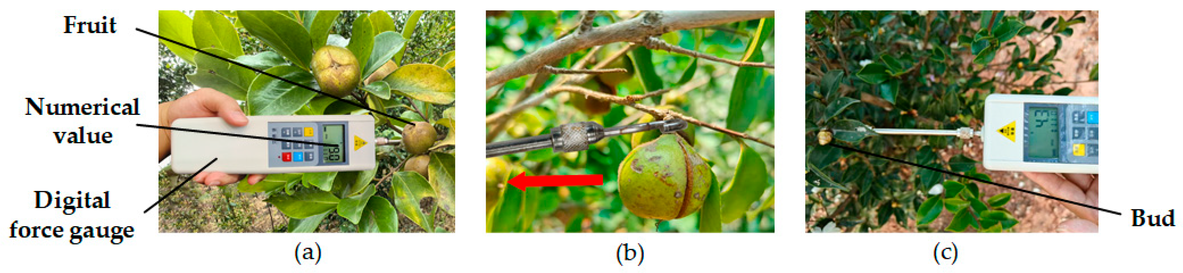 Agriculture 15 02585 g002