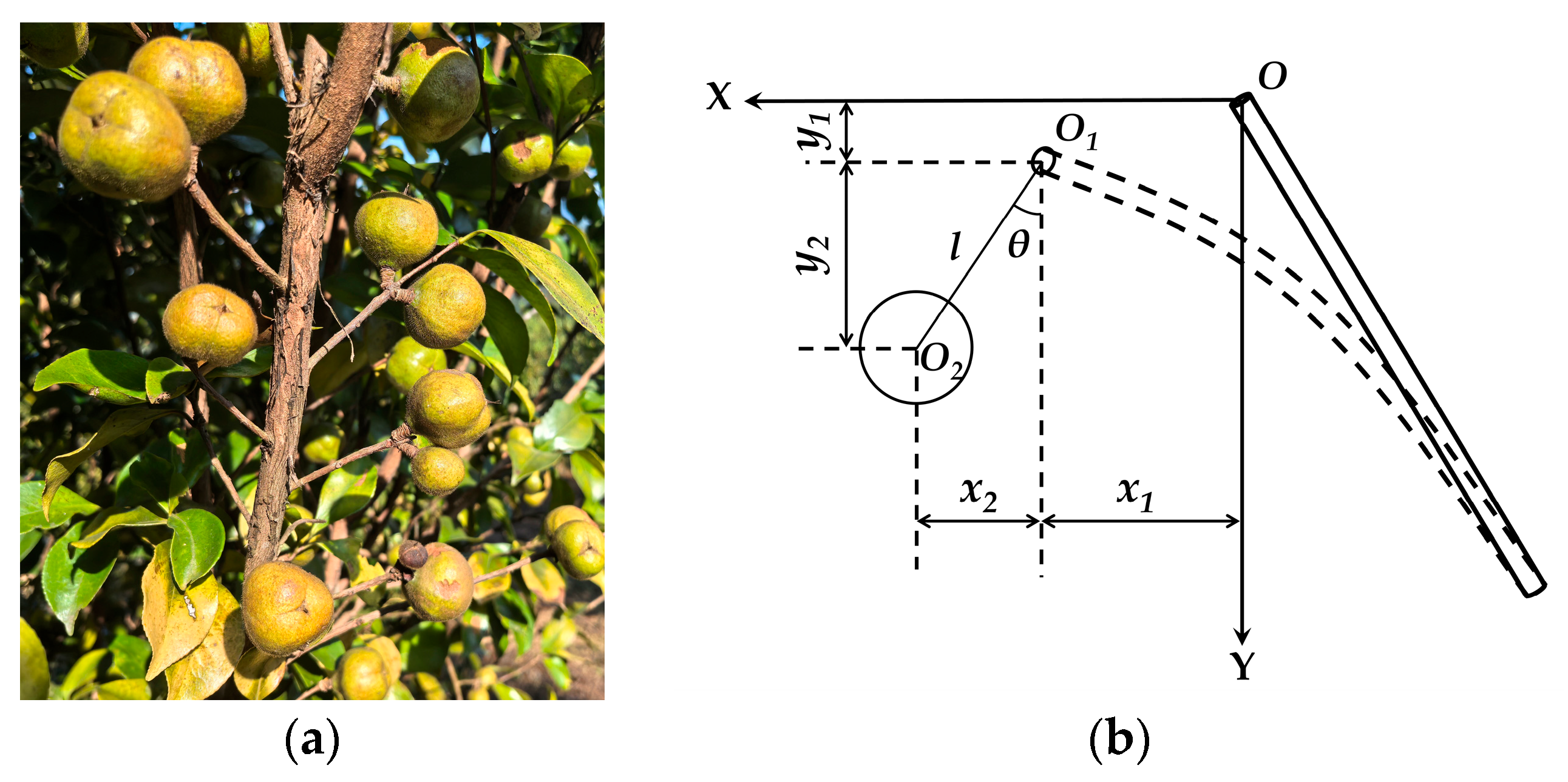 Agriculture 15 02585 g004