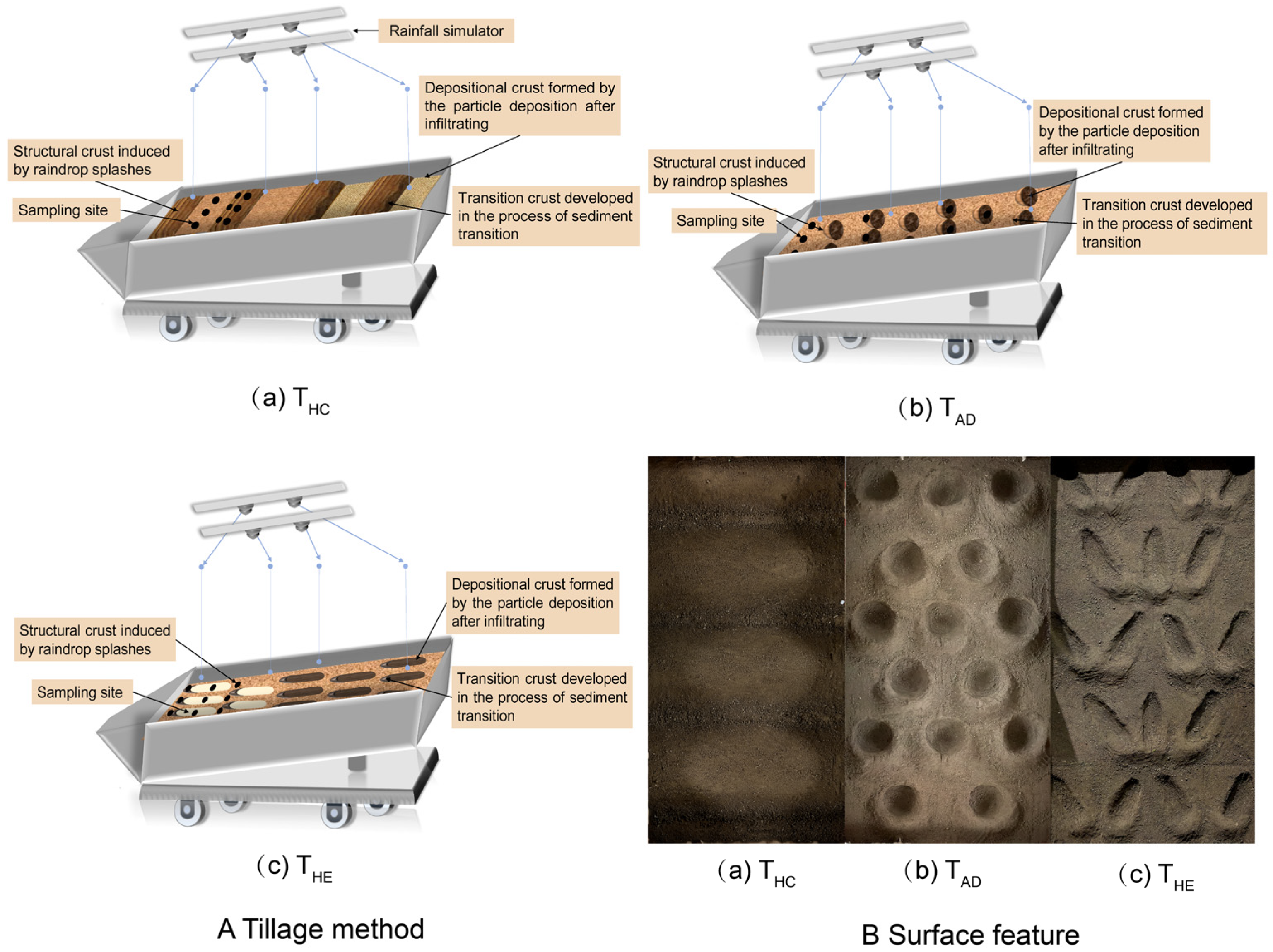Agriculture 15 02602 g002