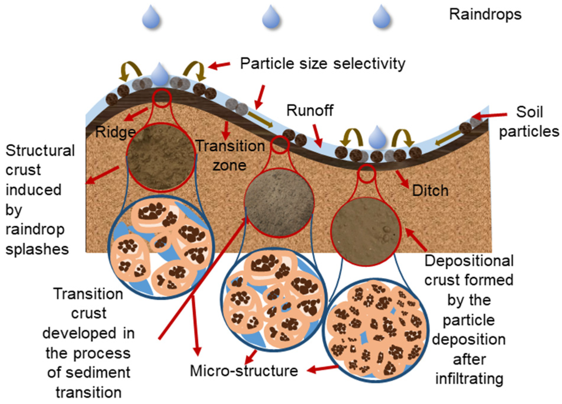 Agriculture 15 02602 g003