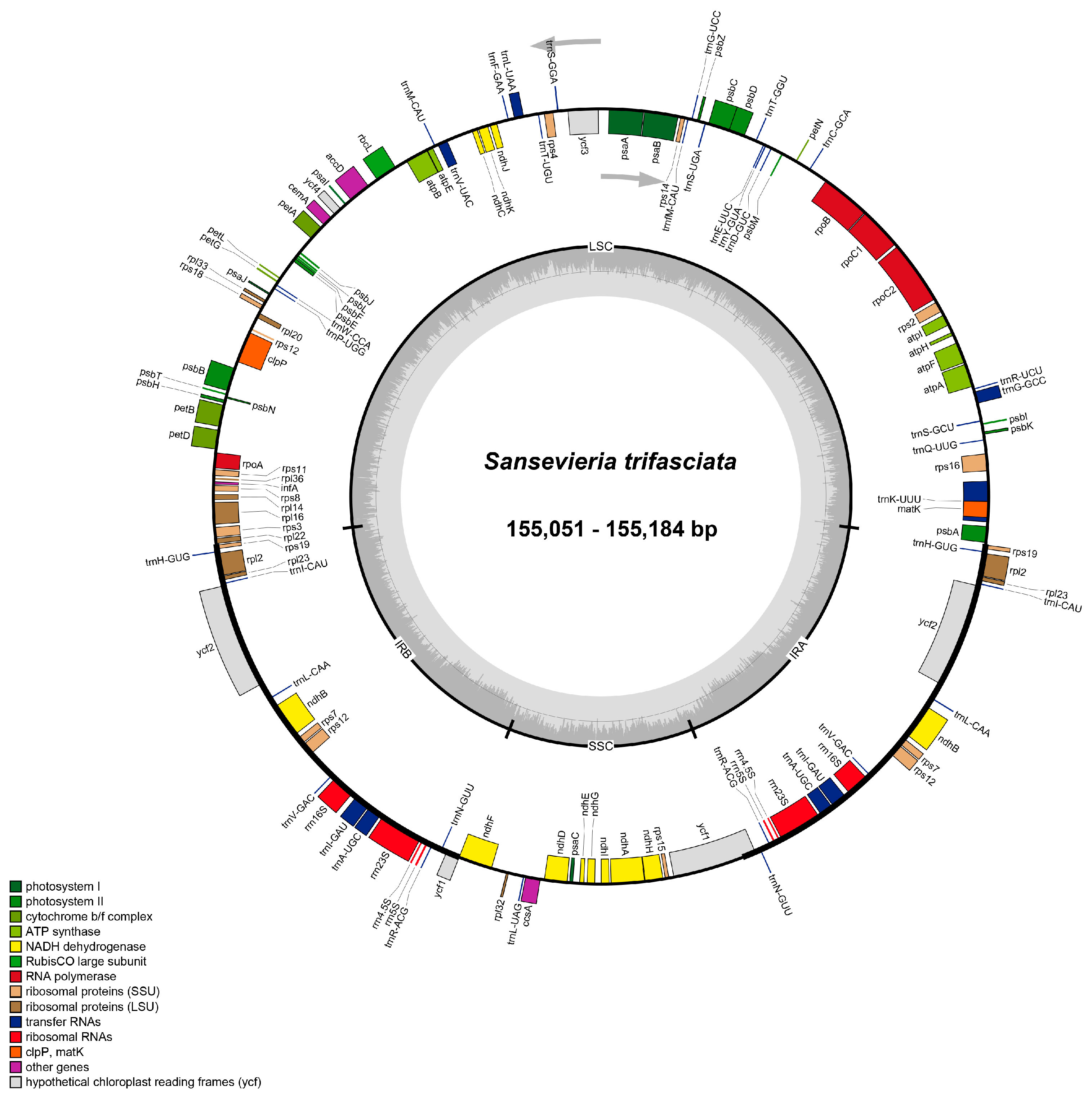 Agriculture 15 02606 g001 Agriculture 15 02606 g001