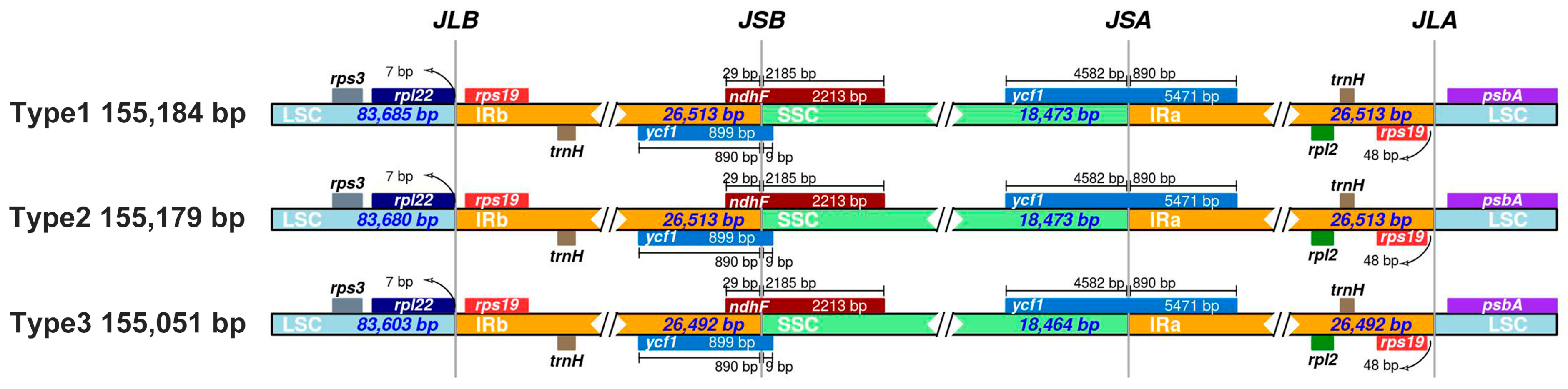 Agriculture 15 02606 g005 Agriculture 15 02606 g005