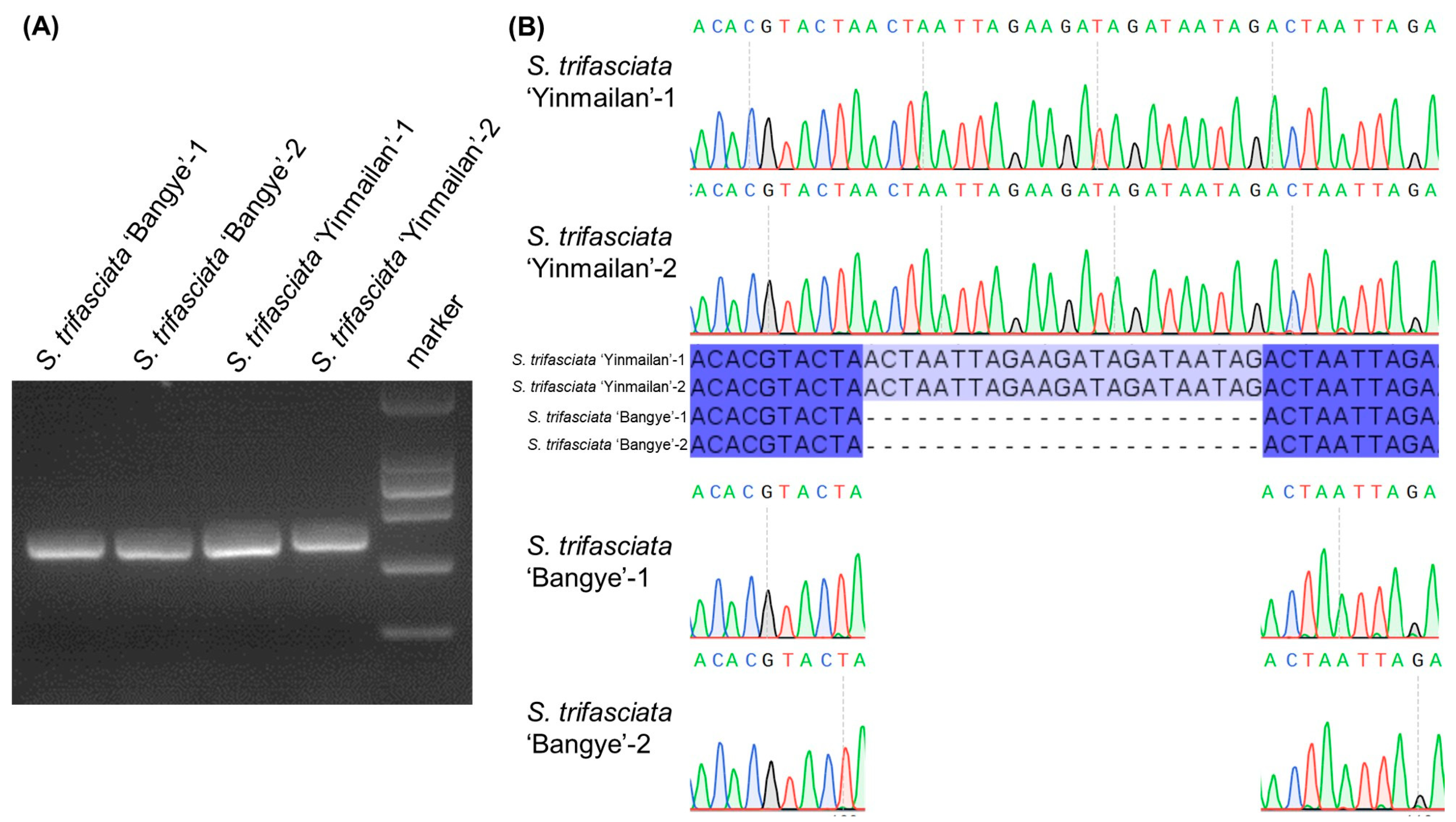 Agriculture 15 02606 g007 Agriculture 15 02606 g007