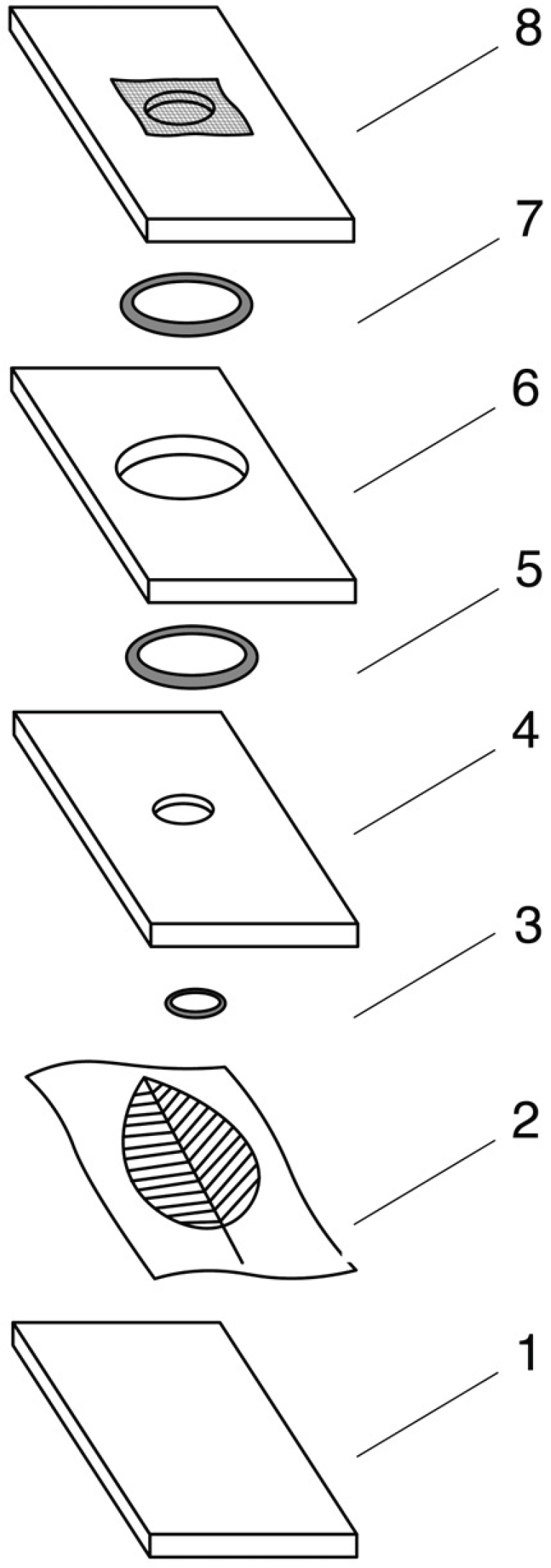 Agriculture 15 02617 g001