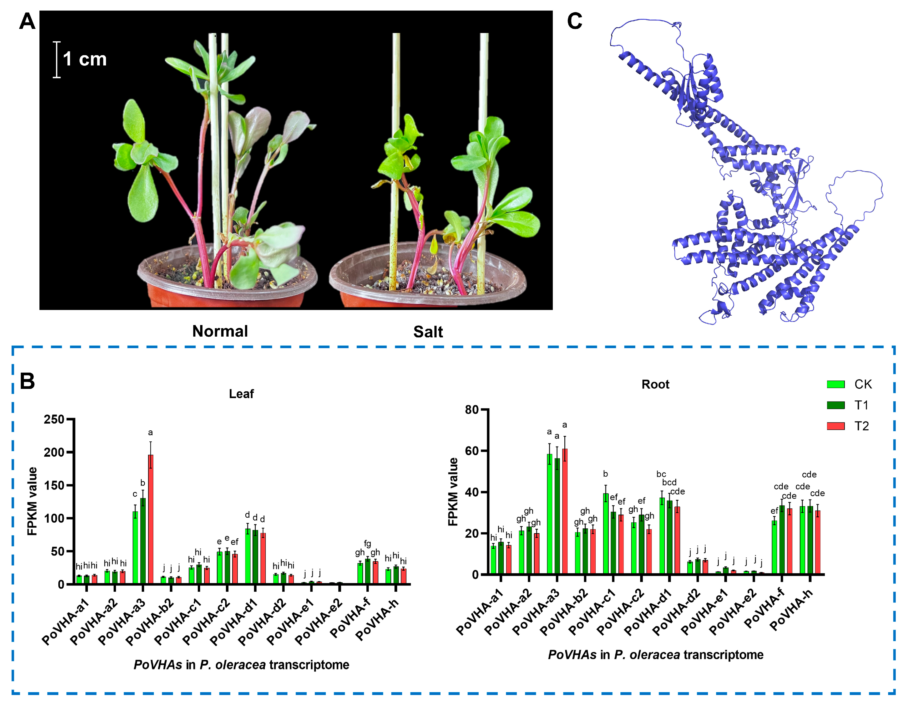 Agriculture 16 00010 g001
