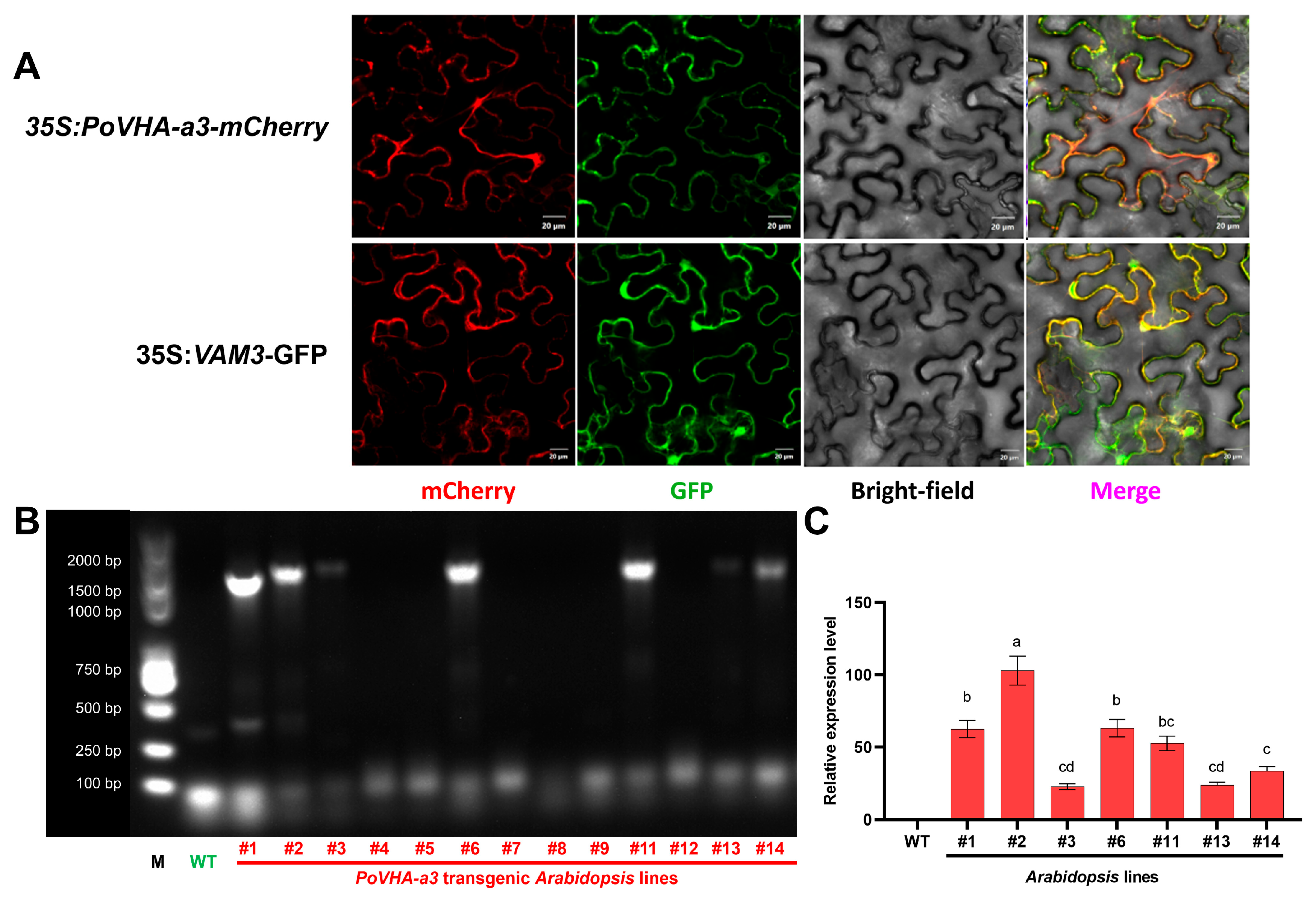 Agriculture 16 00010 g003