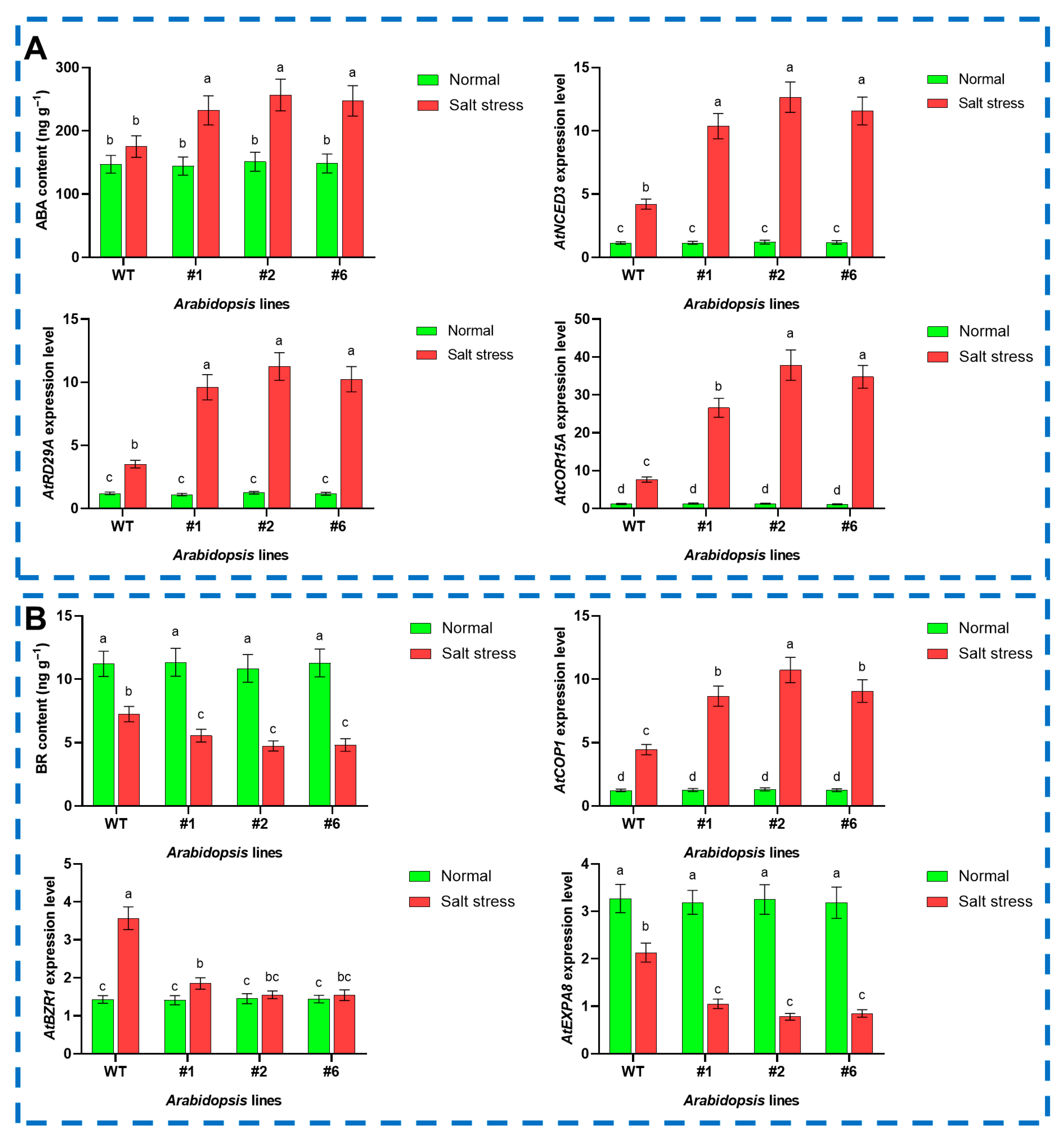 Agriculture 16 00010 g006