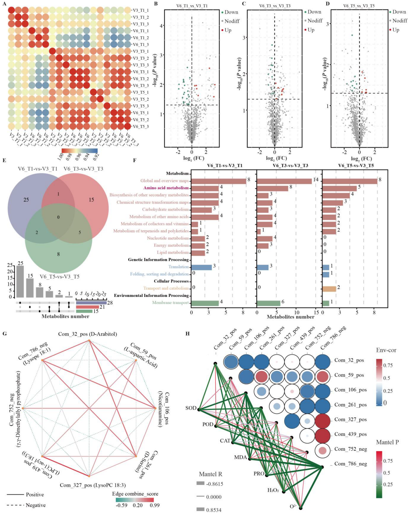 Agriculture 16 00019 g003