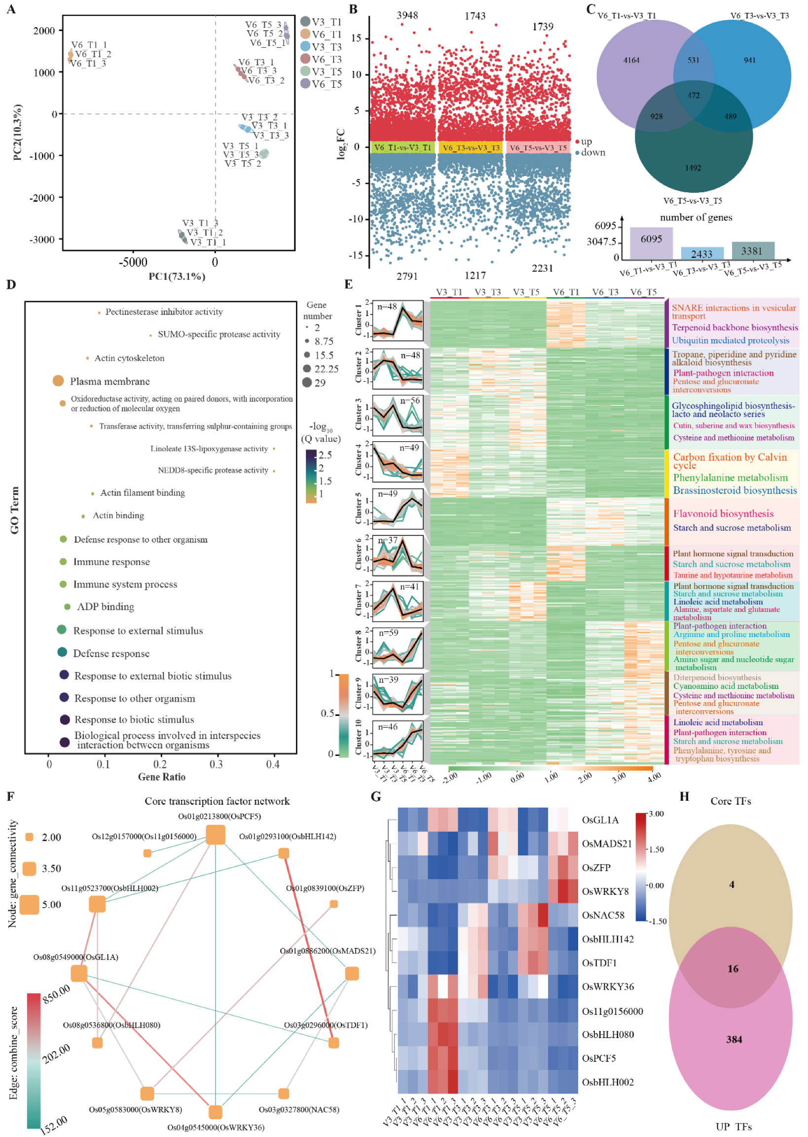 Agriculture 16 00019 g004