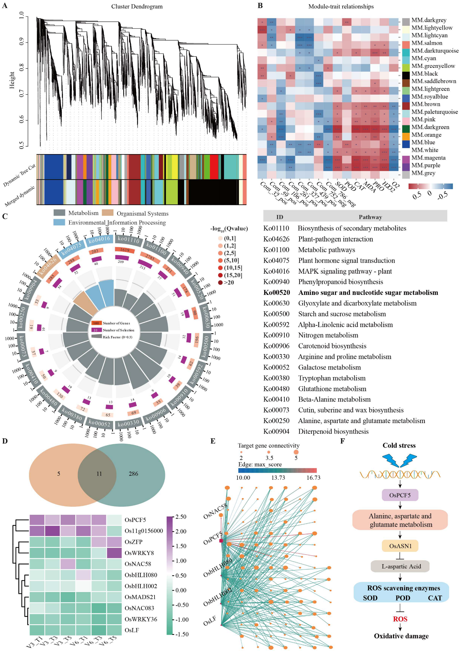 Agriculture 16 00019 g005