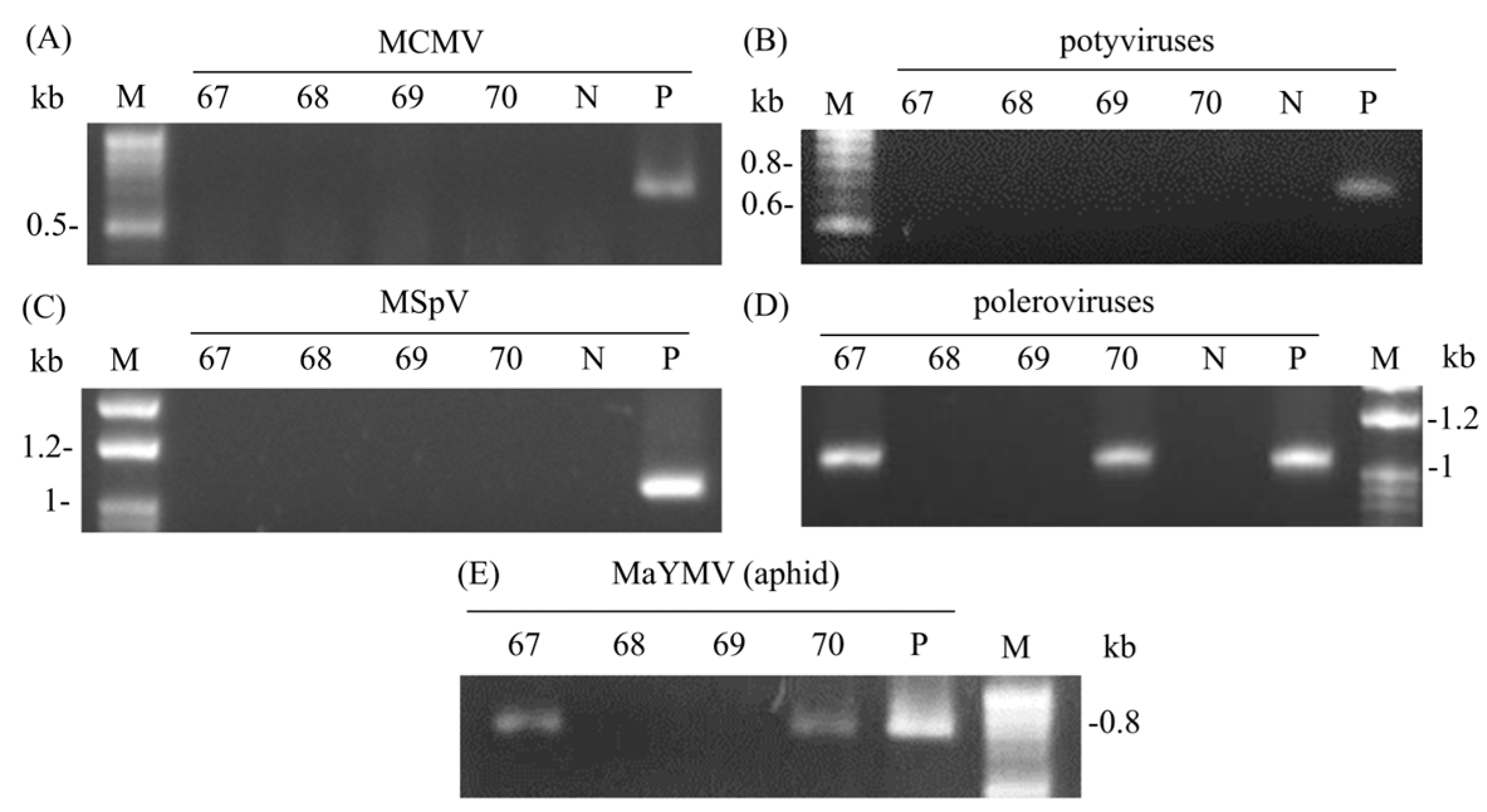 Agriculture 16 00027 g001