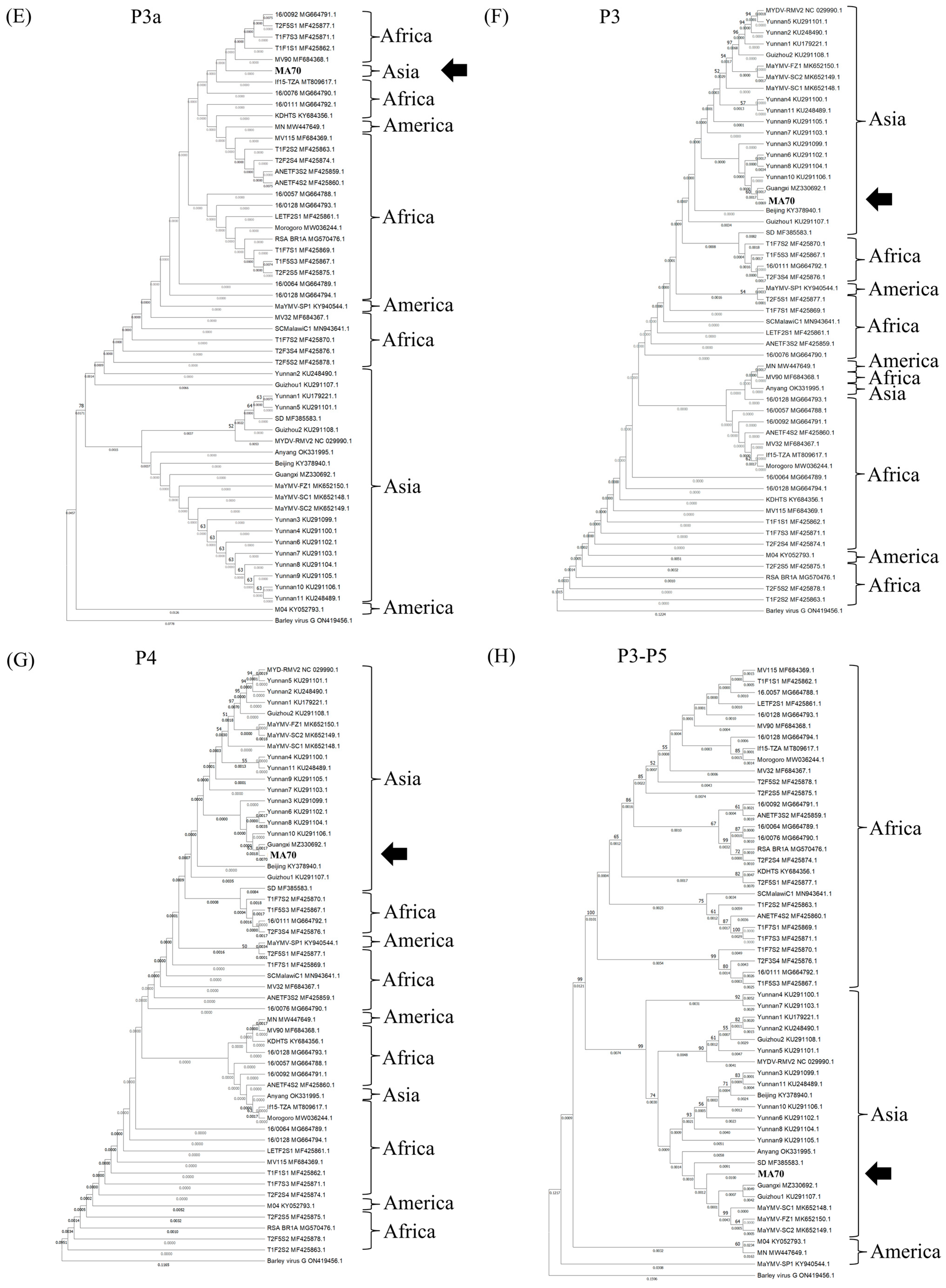 Agriculture 16 00027 g003b