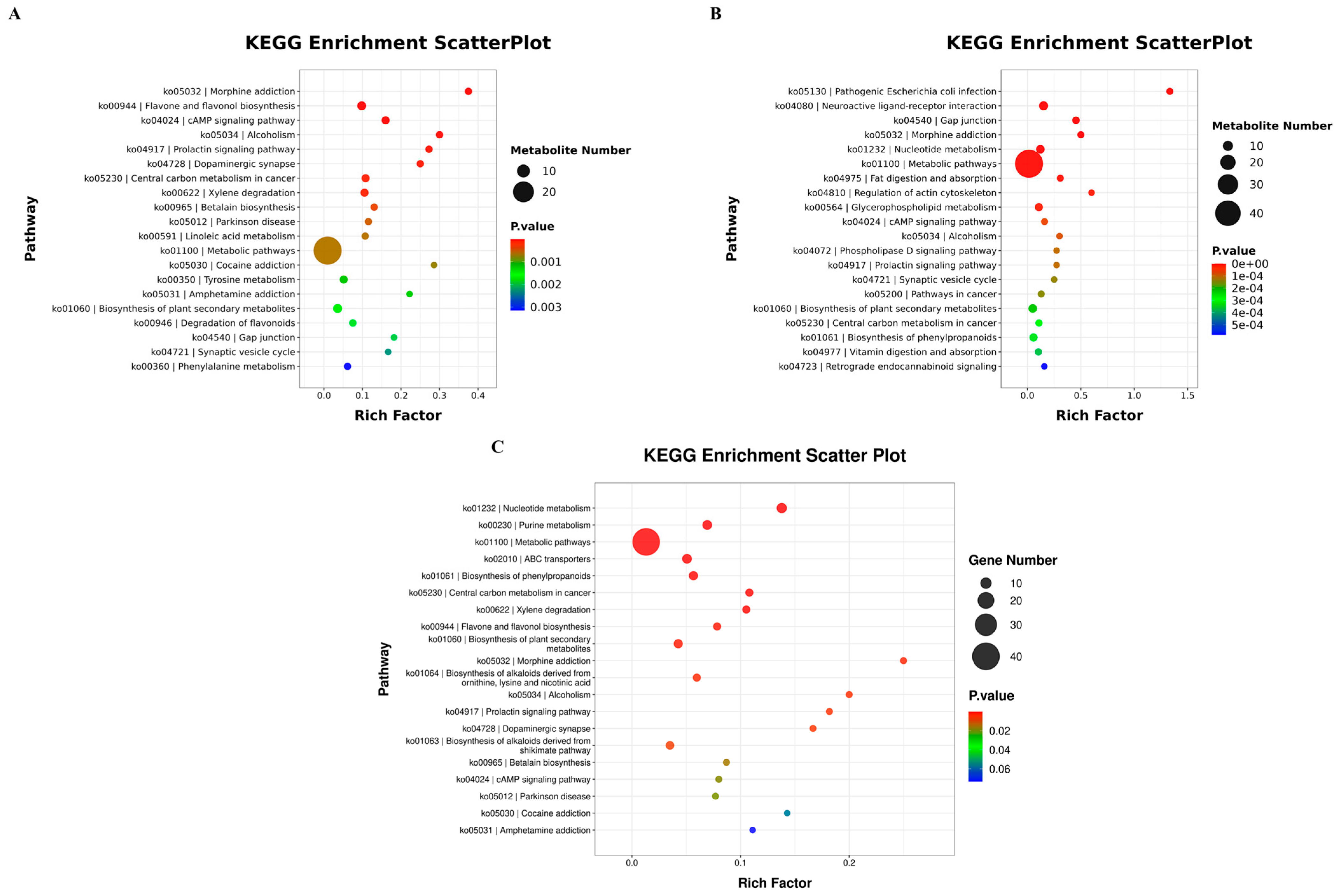 Agriculture 16 00029 g003