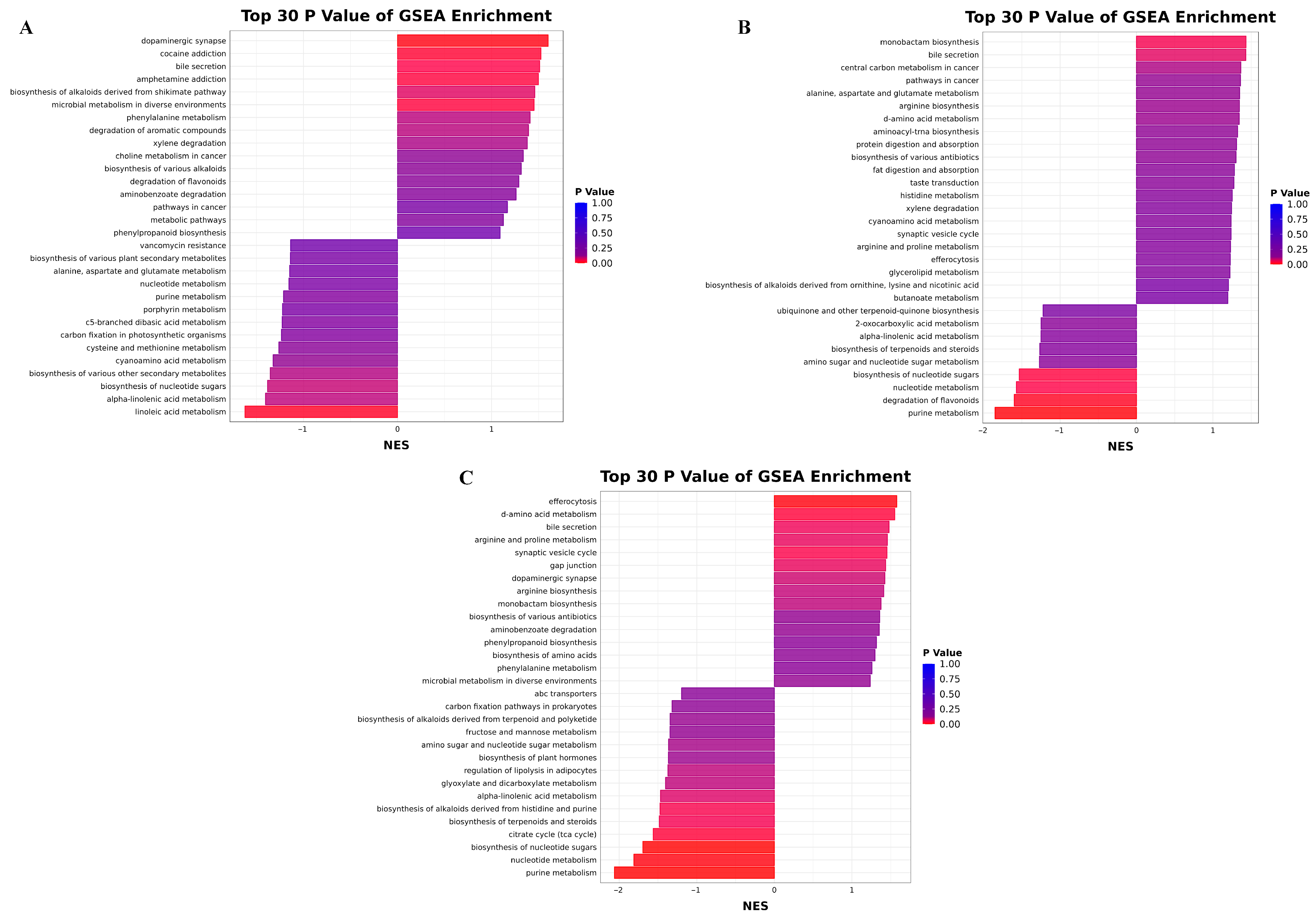 Agriculture 16 00029 g005
