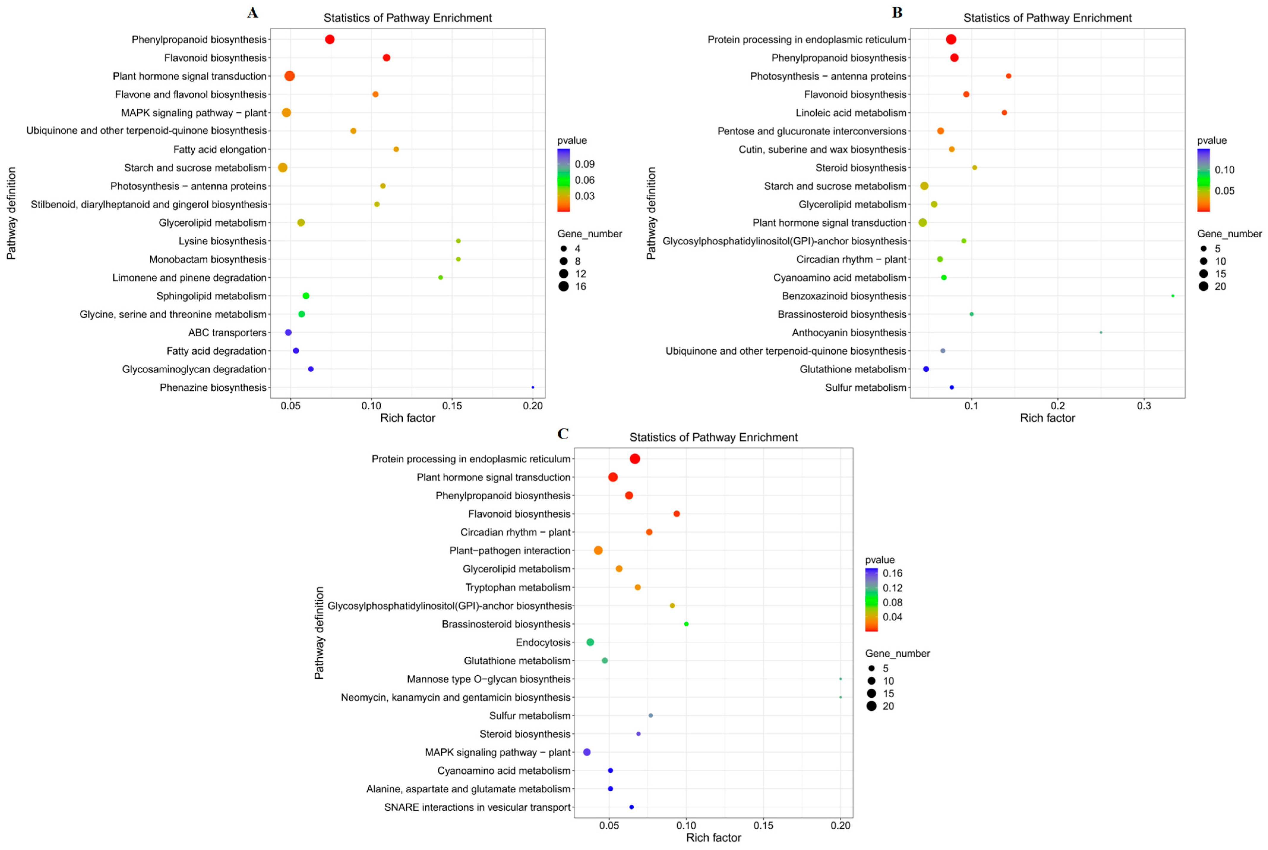 Agriculture 16 00029 g009