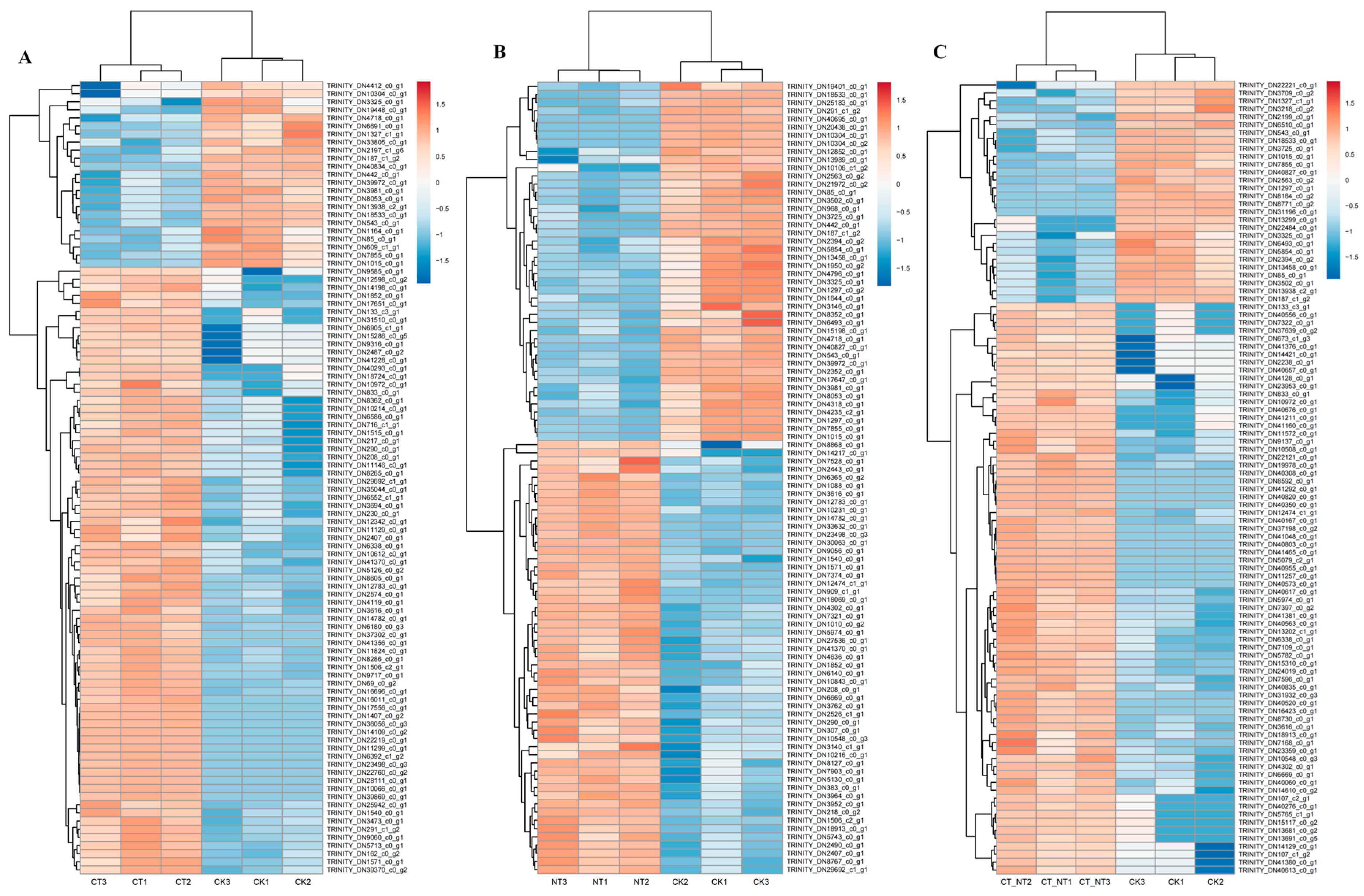 Agriculture 16 00029 g010