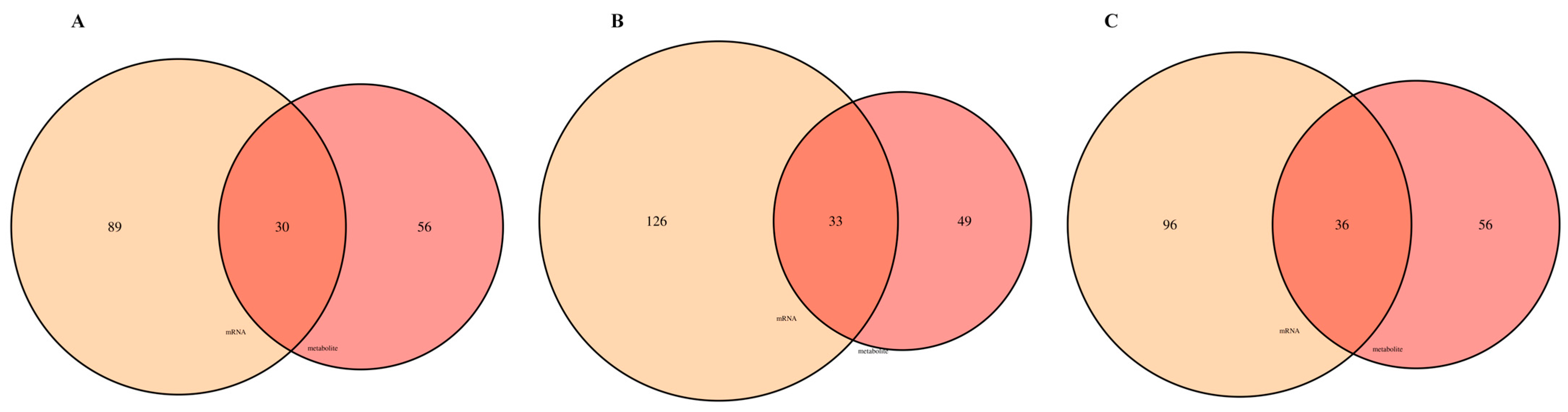 Agriculture 16 00029 g011