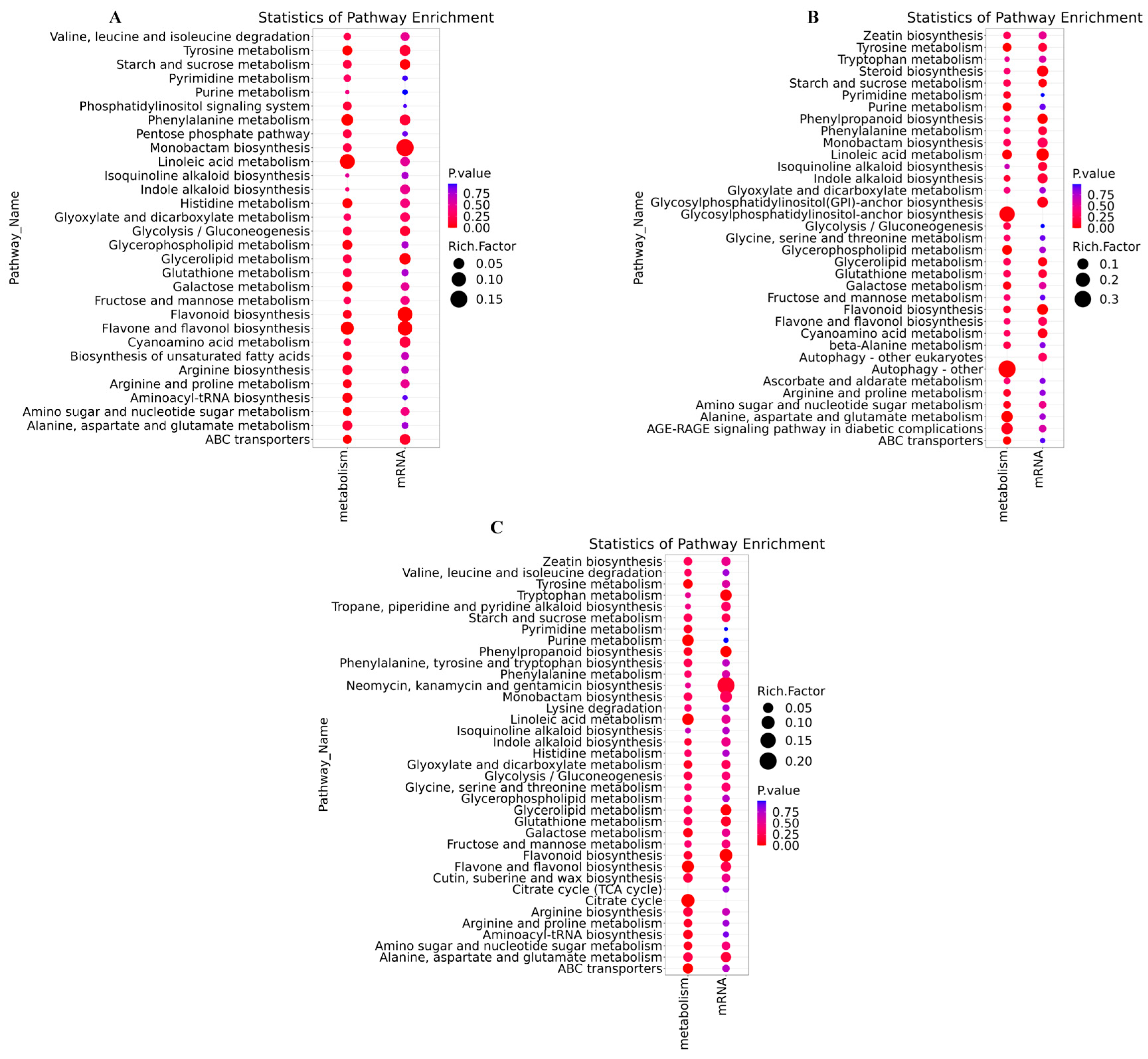 Agriculture 16 00029 g012