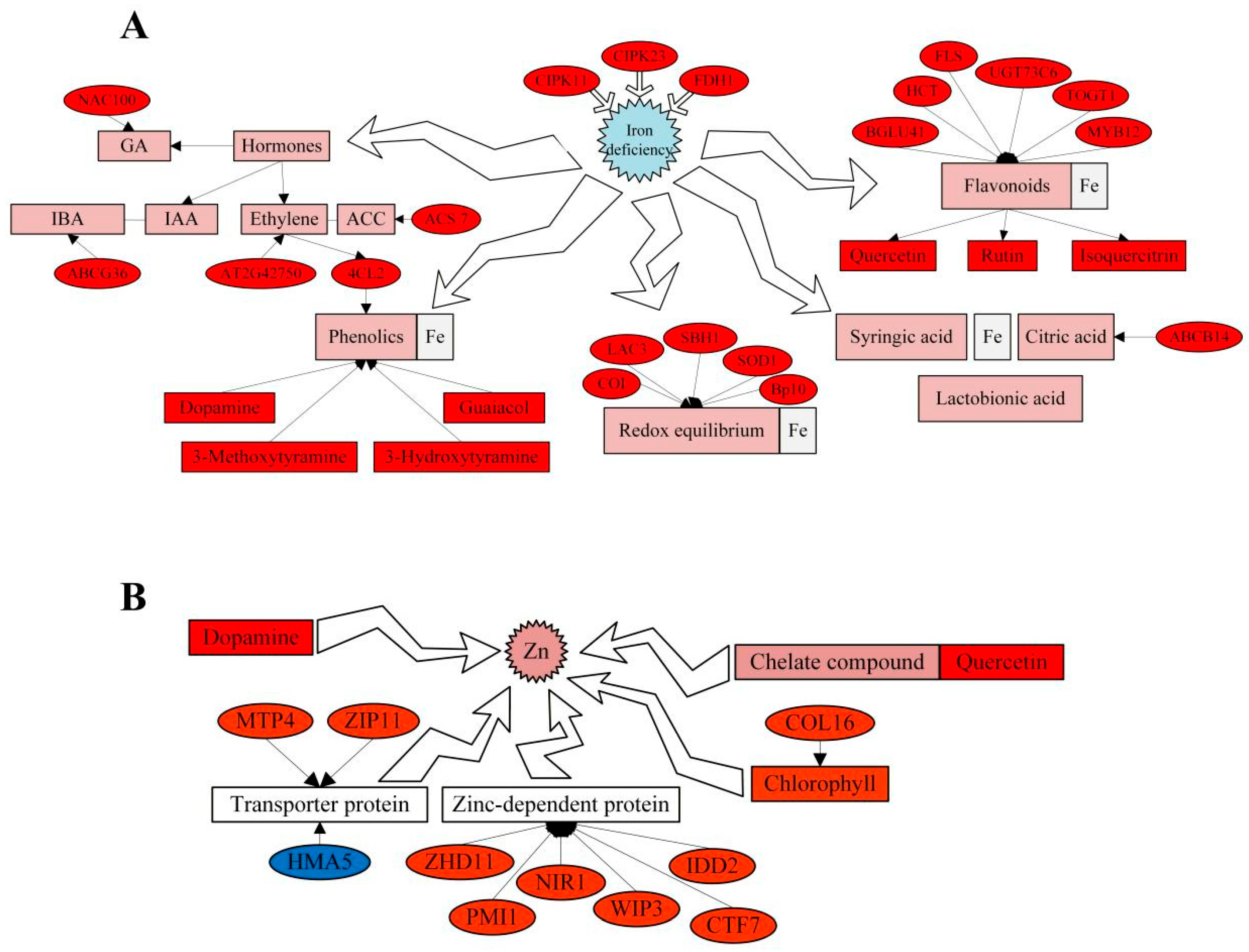 Agriculture 16 00029 g013