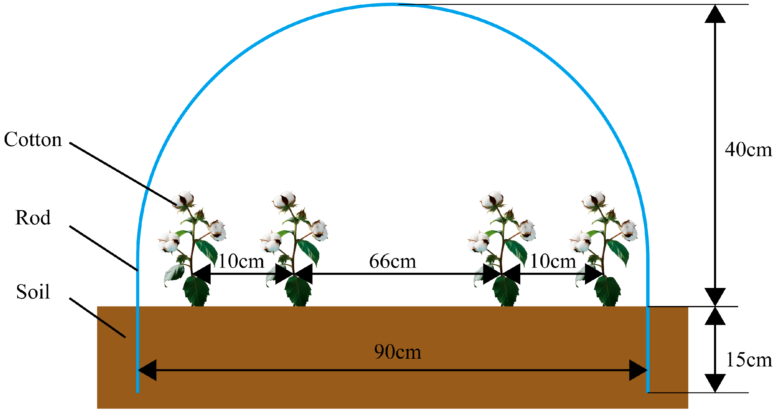 Agriculture 16 00030 g002