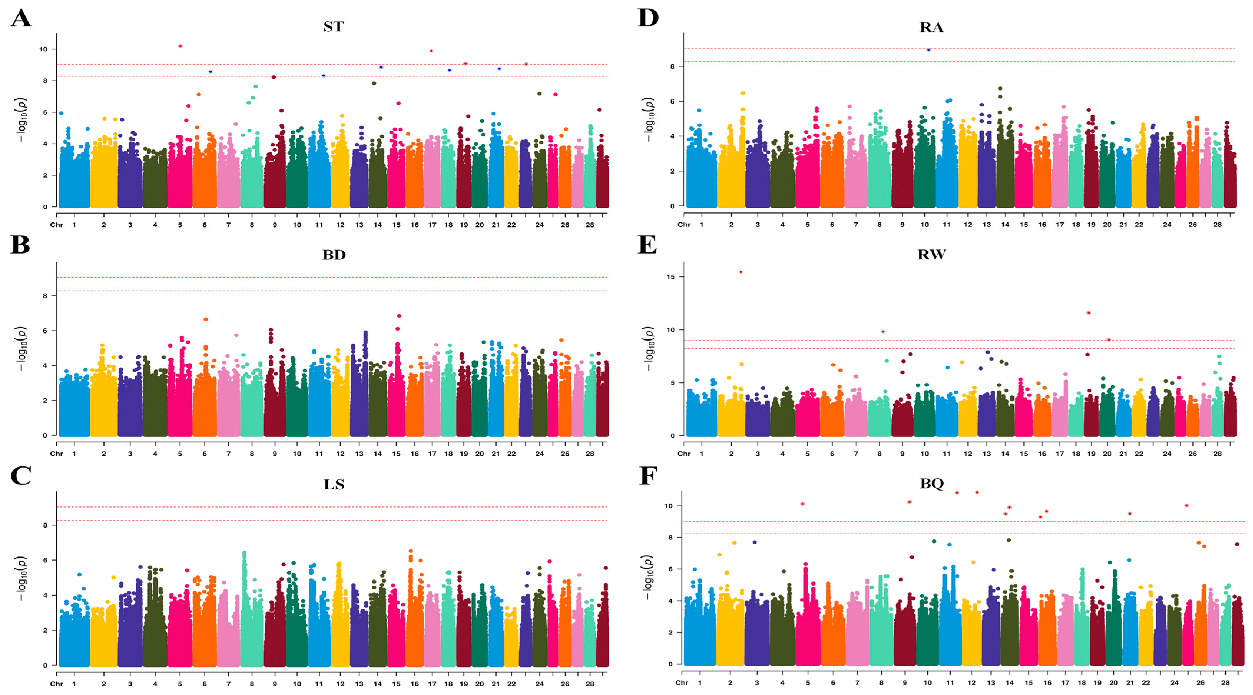 Agriculture 16 00031 g003
