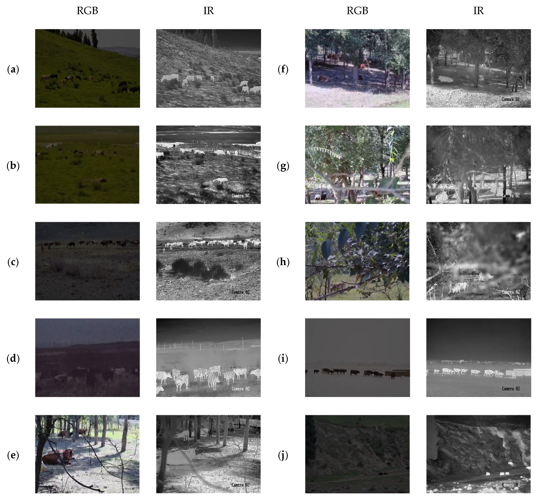 Agriculture 16 00035 g005 Agriculture 16 00035 g005