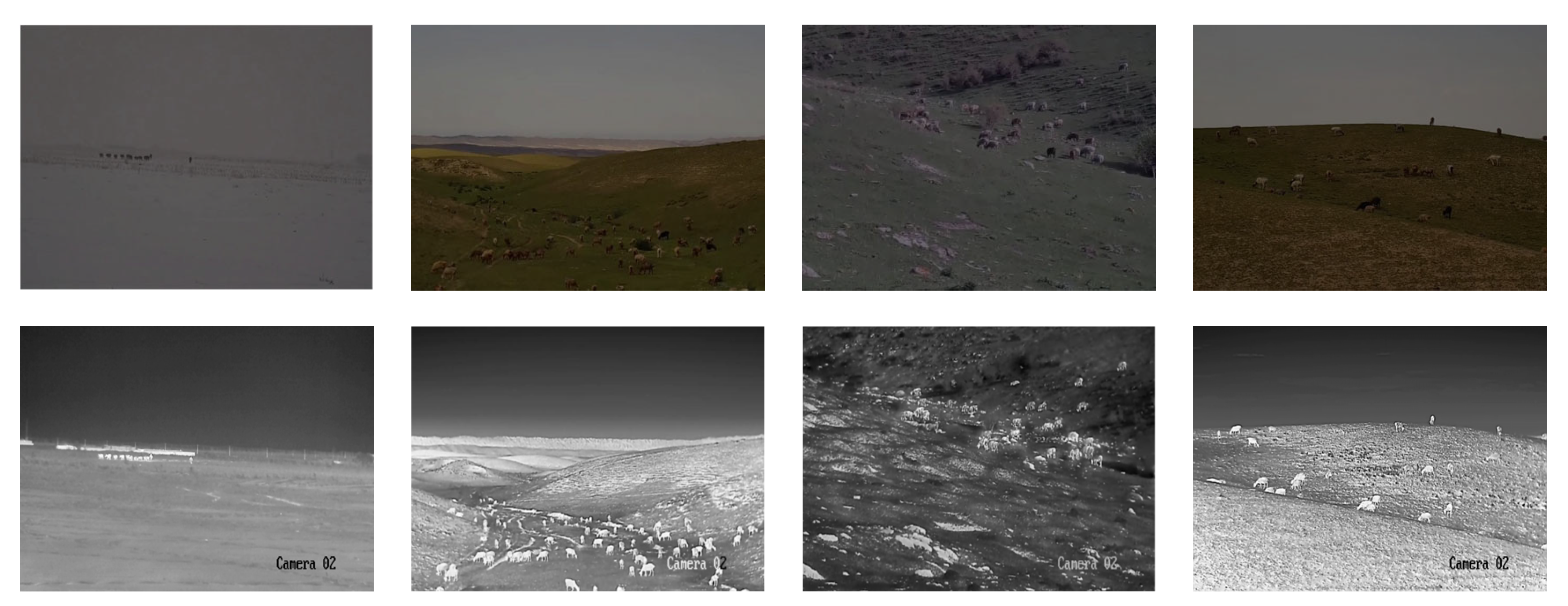 Agriculture 16 00035 g006 Agriculture 16 00035 g006